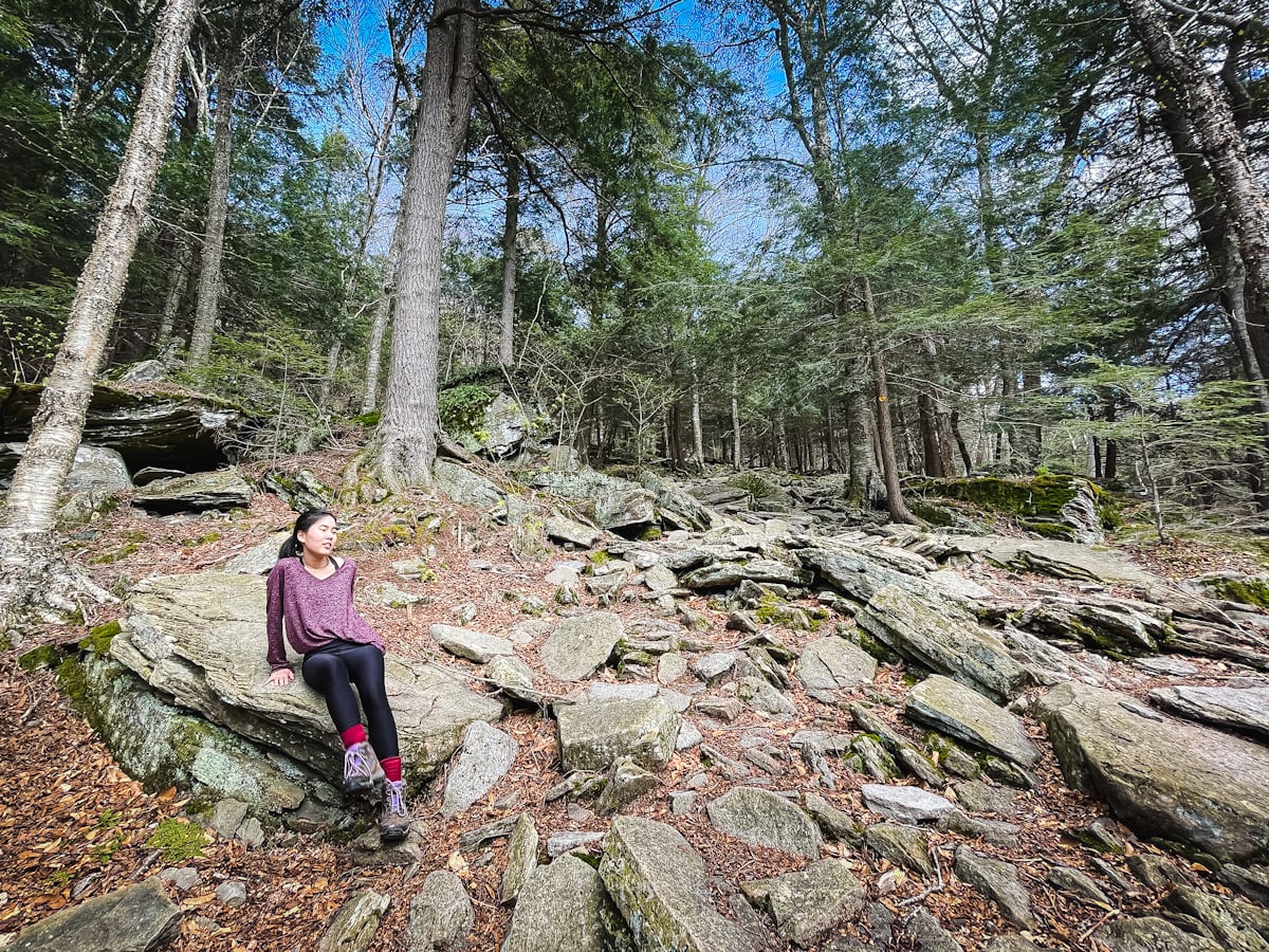 Hike Slide Mountain in the Catskills