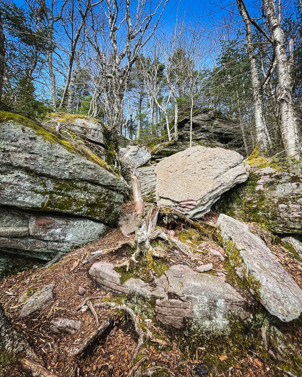 Hike Slide Mountain in the Catskills via the Curtis Ormsbee Trail