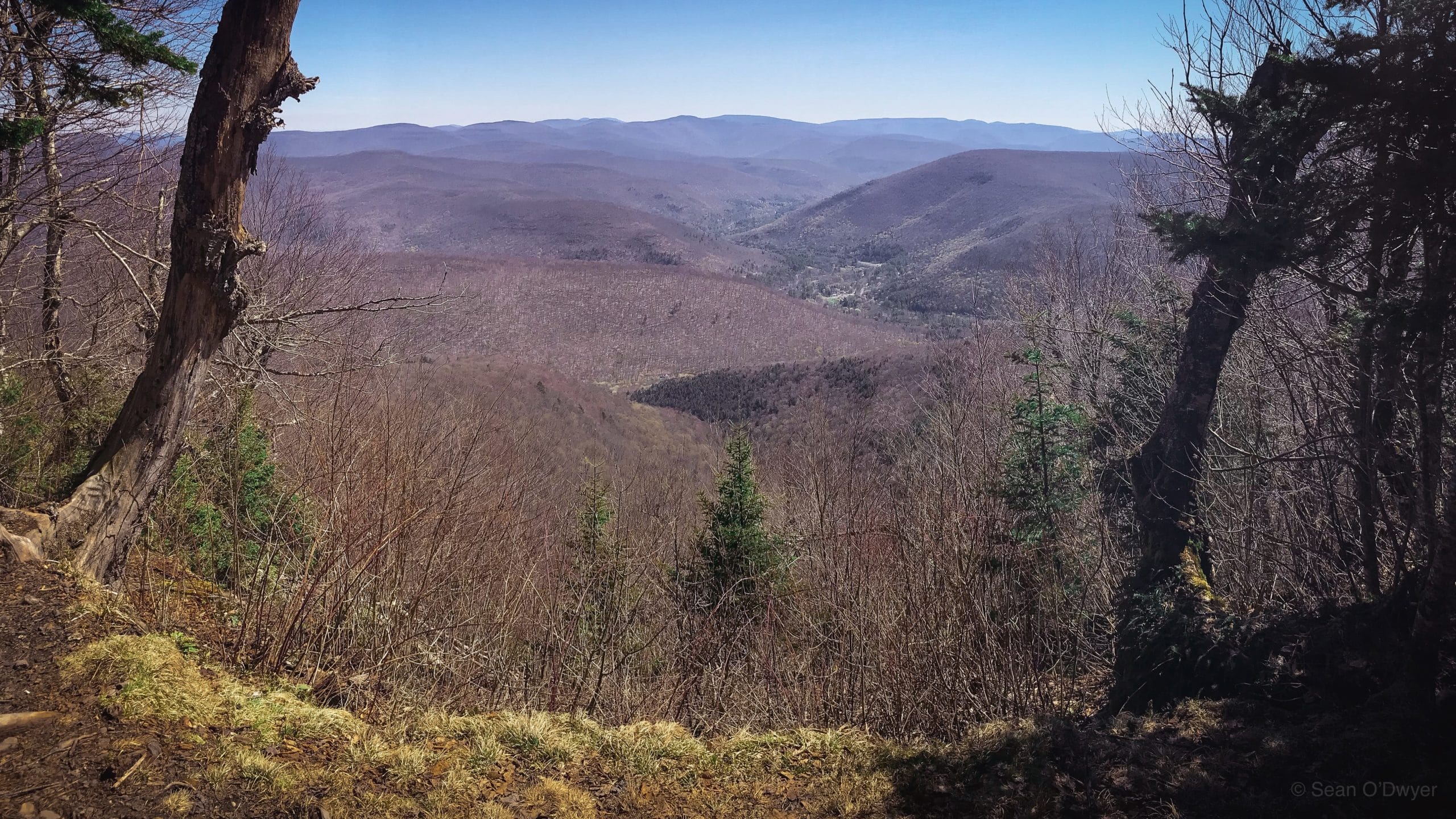 scenic view of Catskills mountains