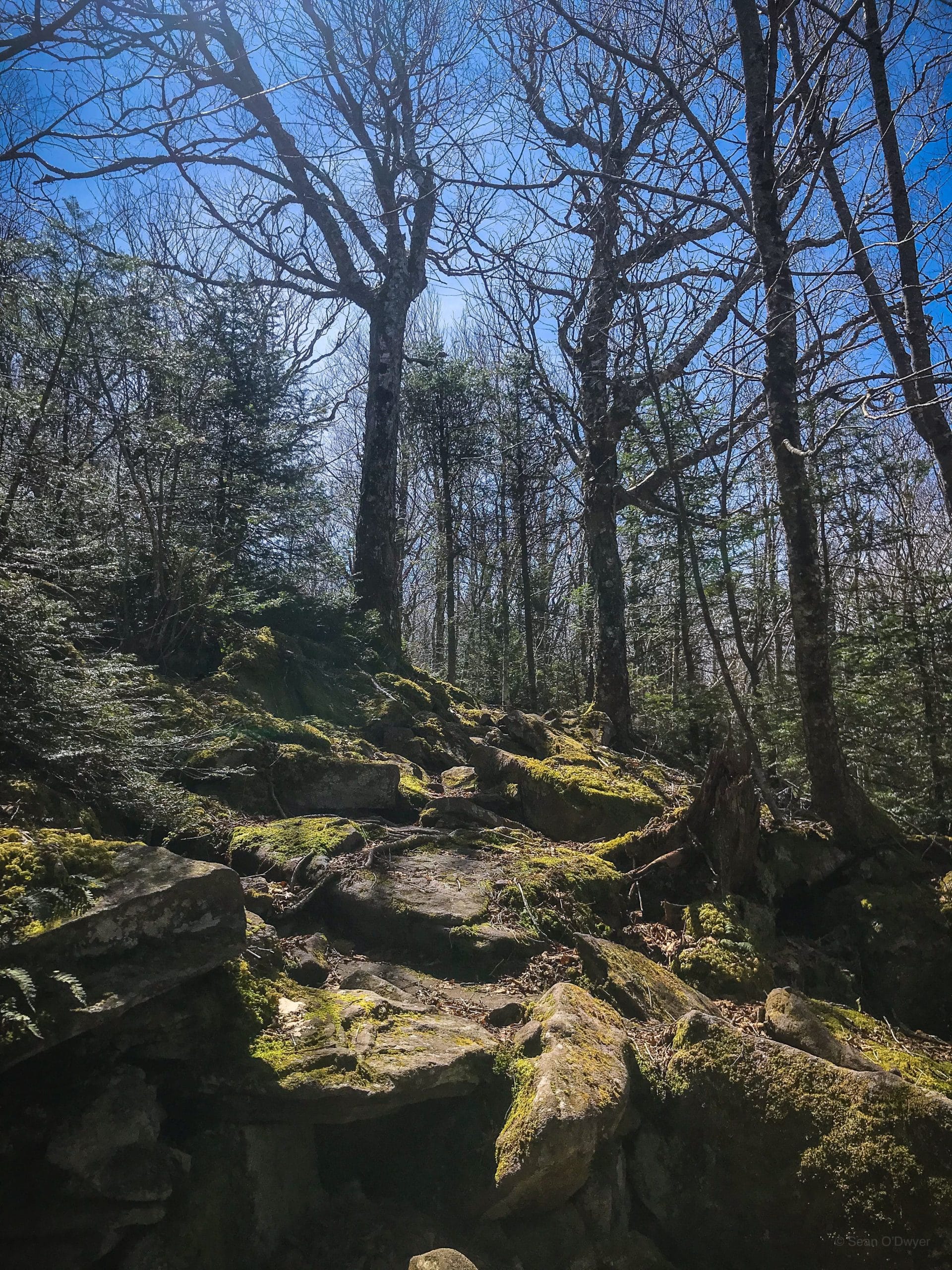 rugged Catskills trail
