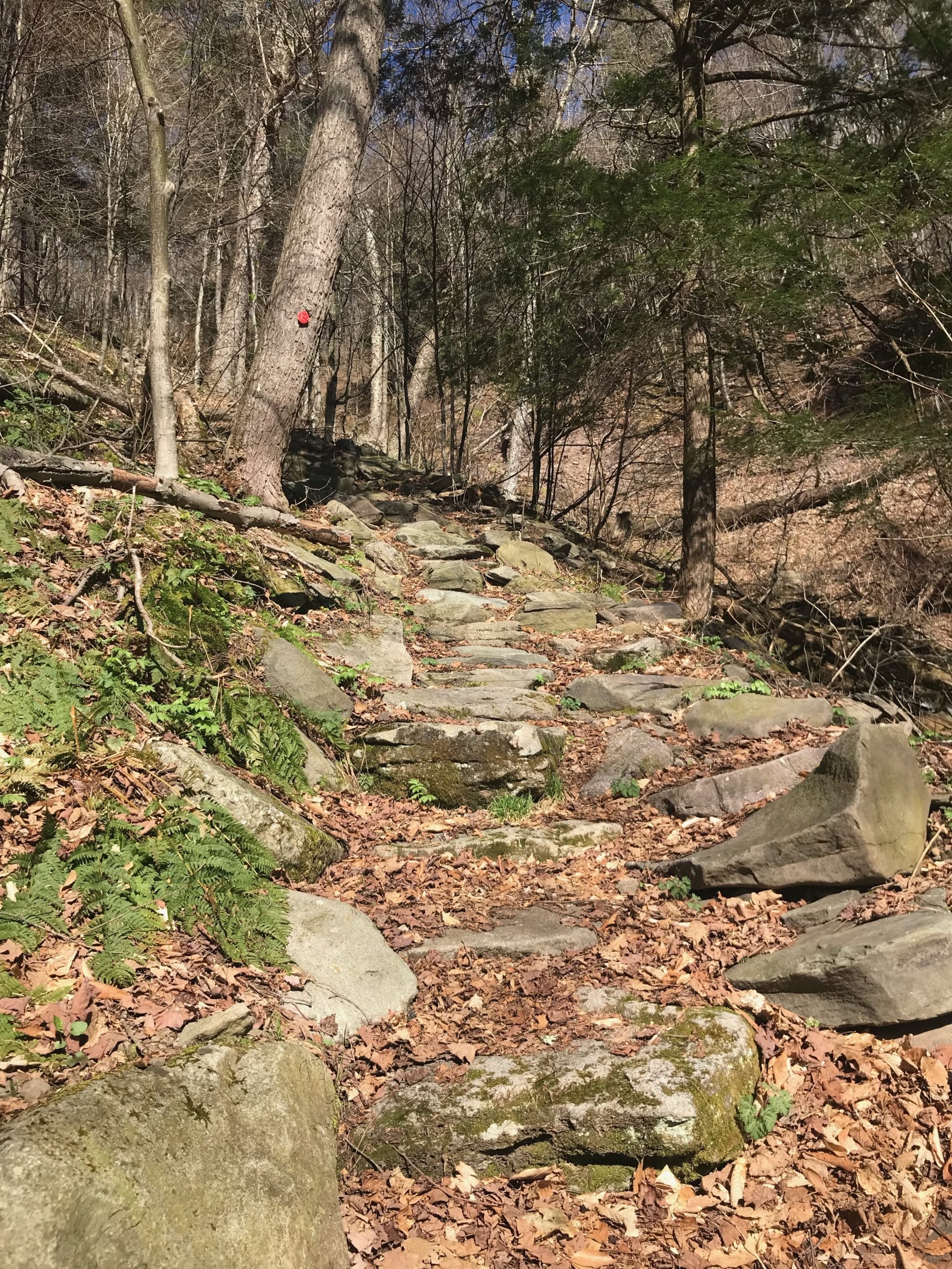 rugged Catskills hiking trail