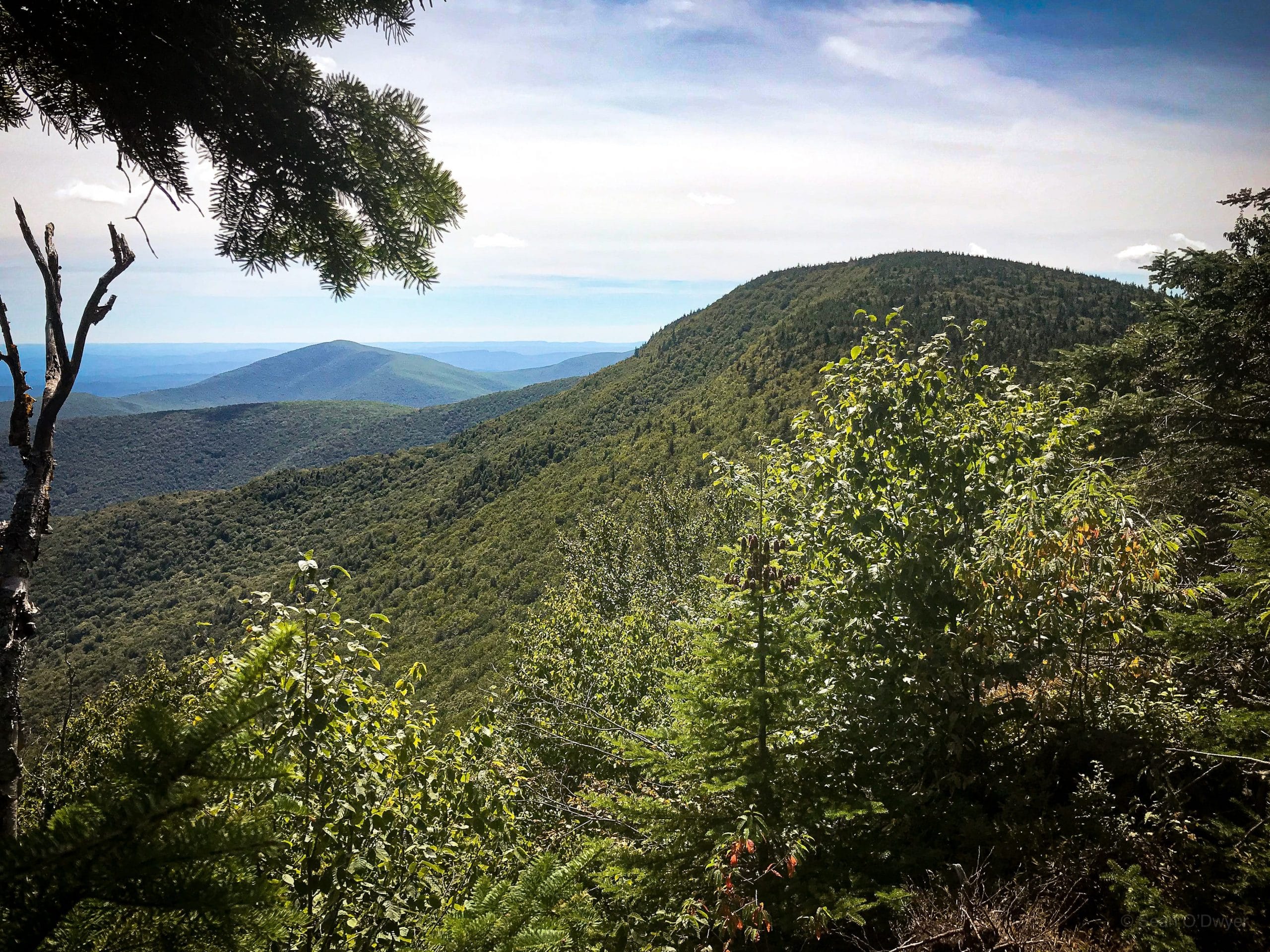 View of Balsam Cap from Friday Mountain
