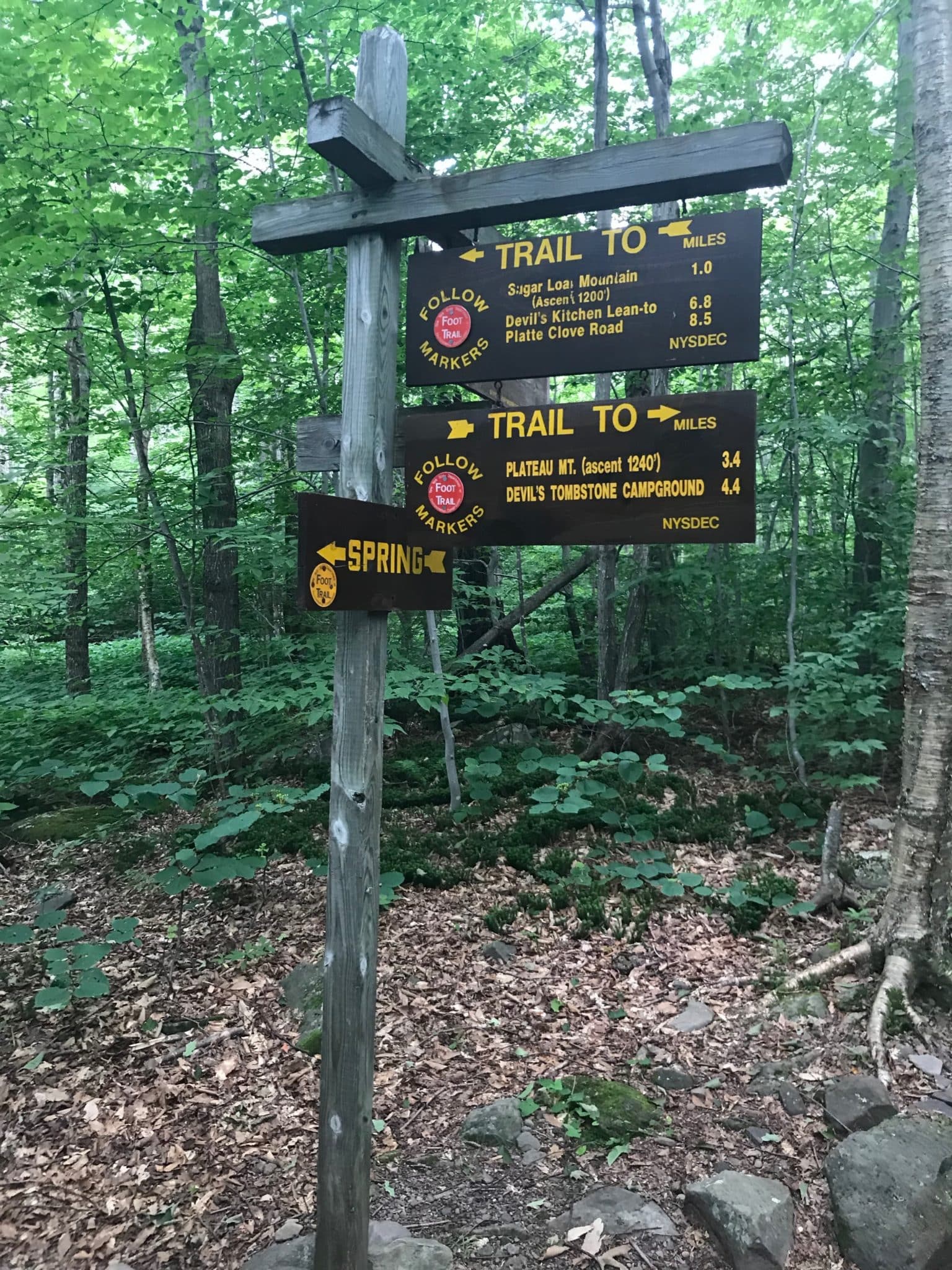 Plateau from Mink Hollow | Catskills