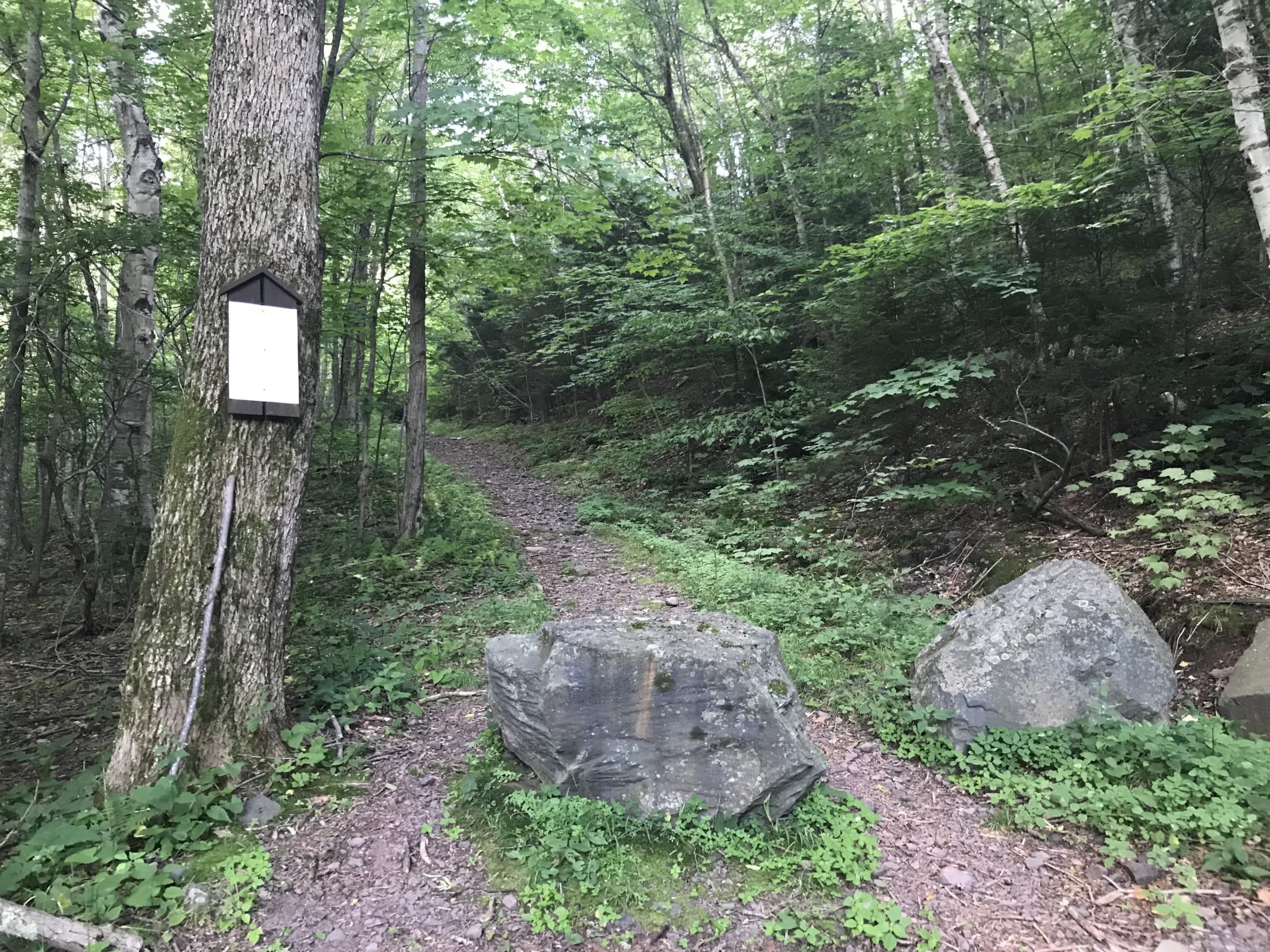Mink Hollow trail