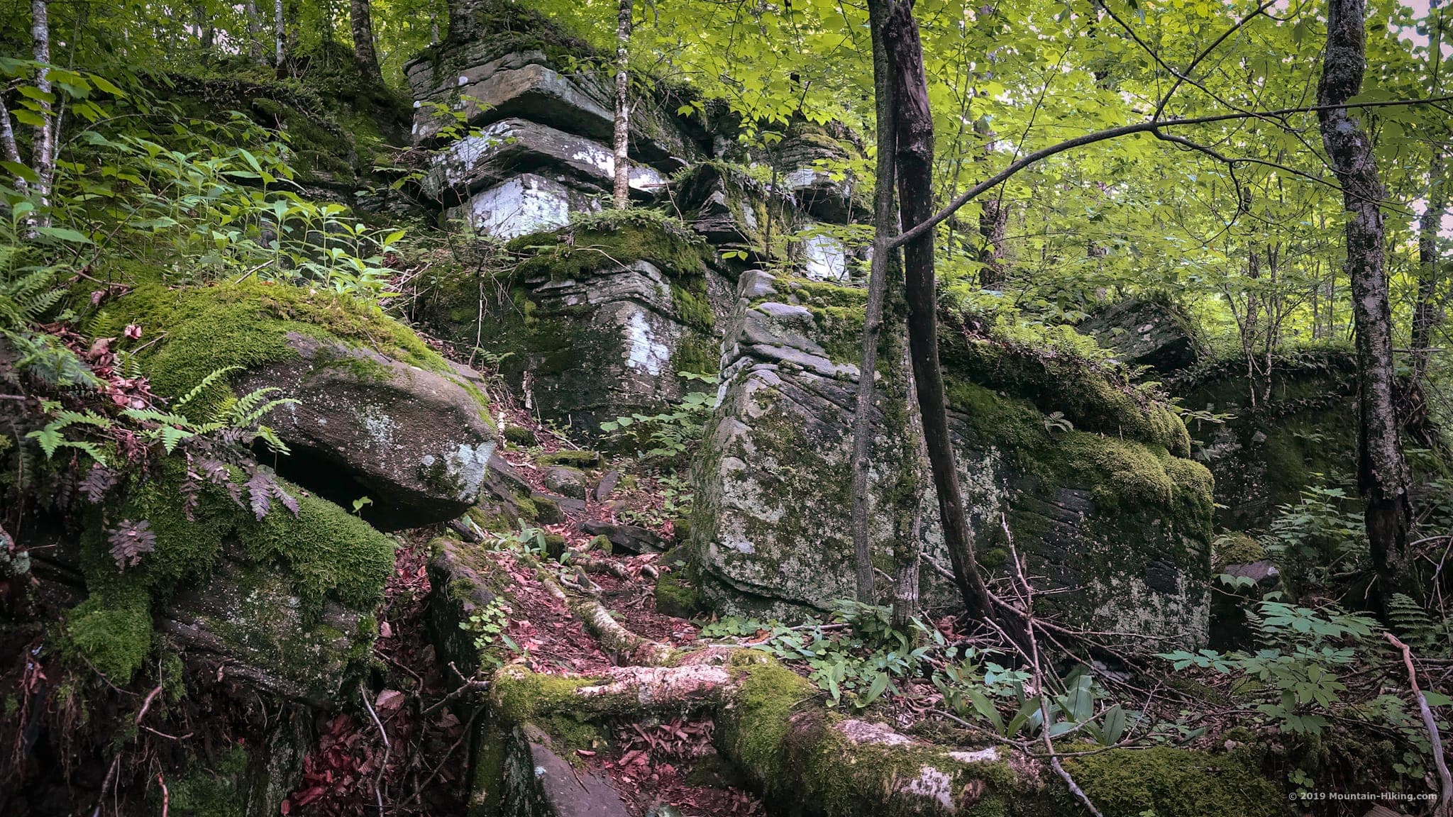 rock ledge
