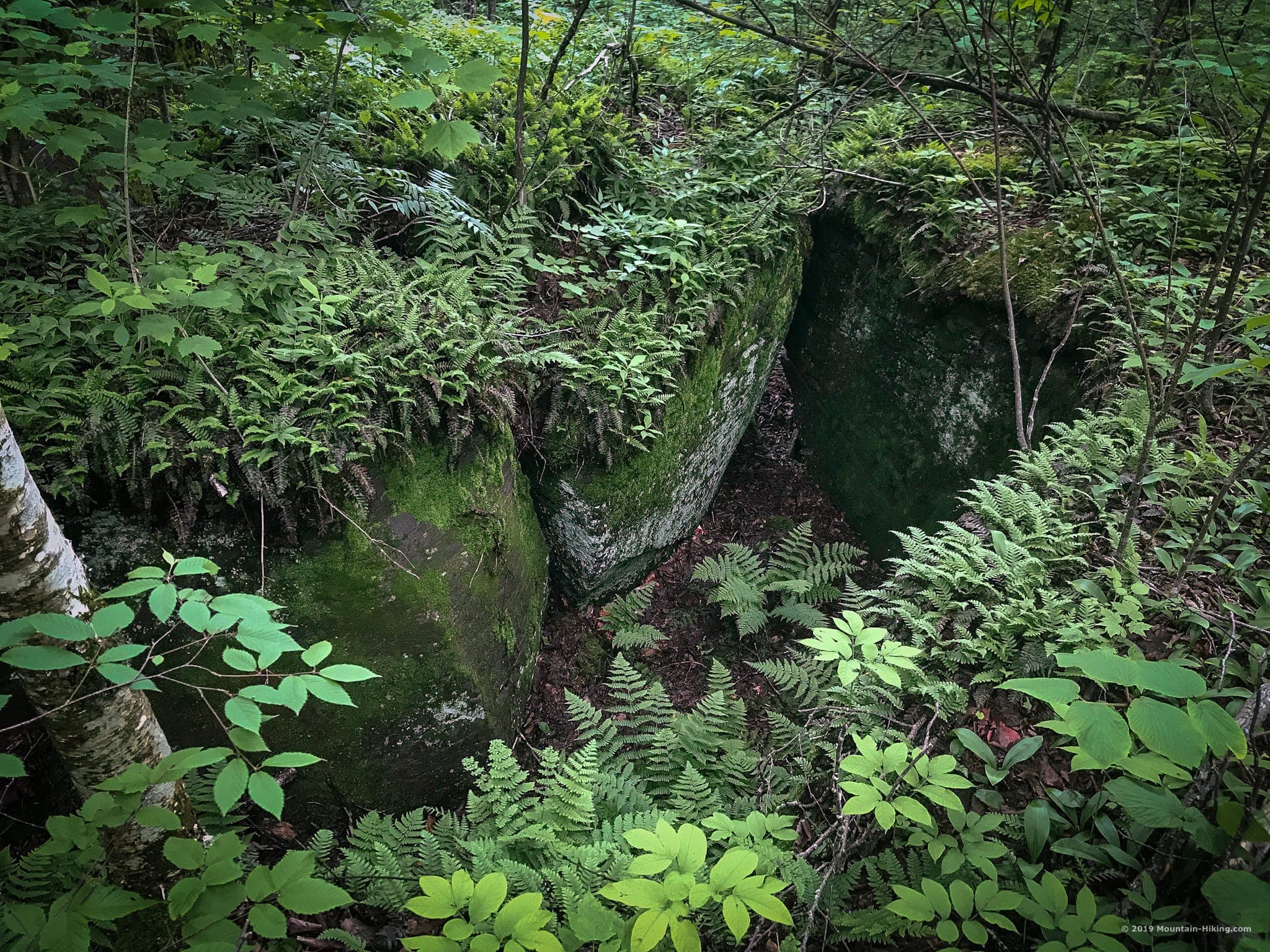 rocks