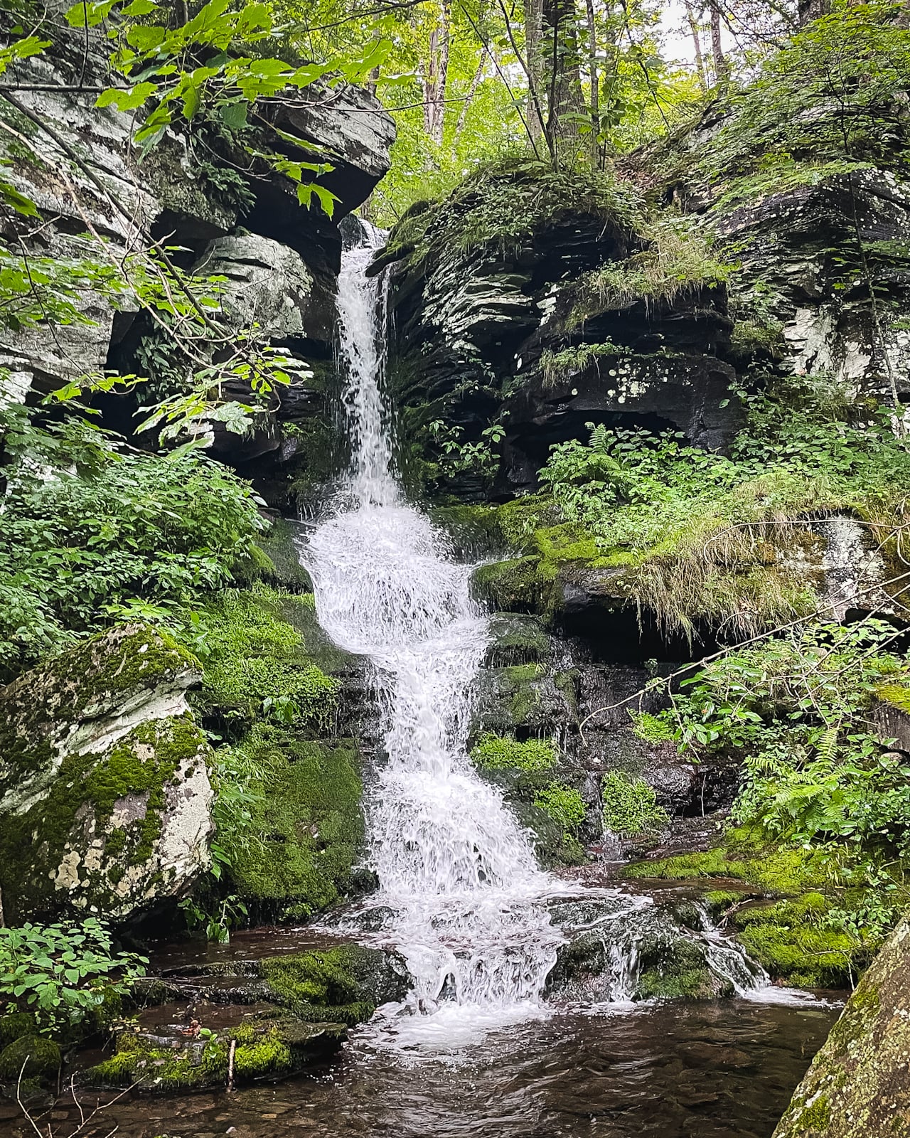 Halcott waterfall in a lush summer forest