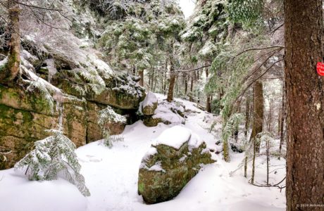 Hiking trail, Wittenberg, Catskills