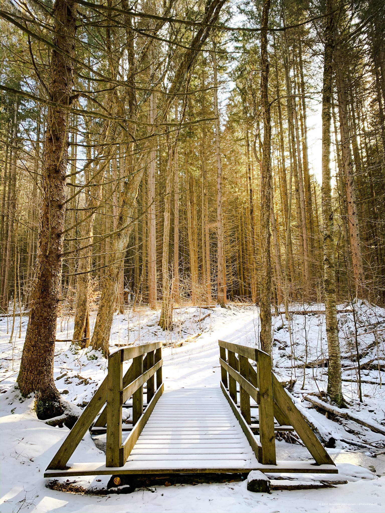 footbridge in woods, Kelly Hollow Loop hiking trail