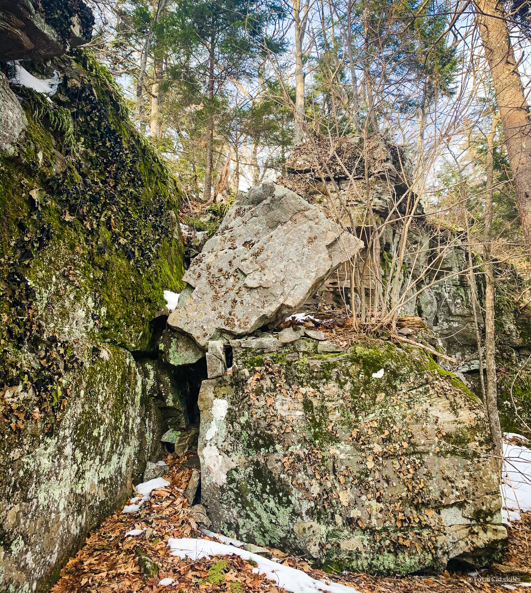 boulders, moss