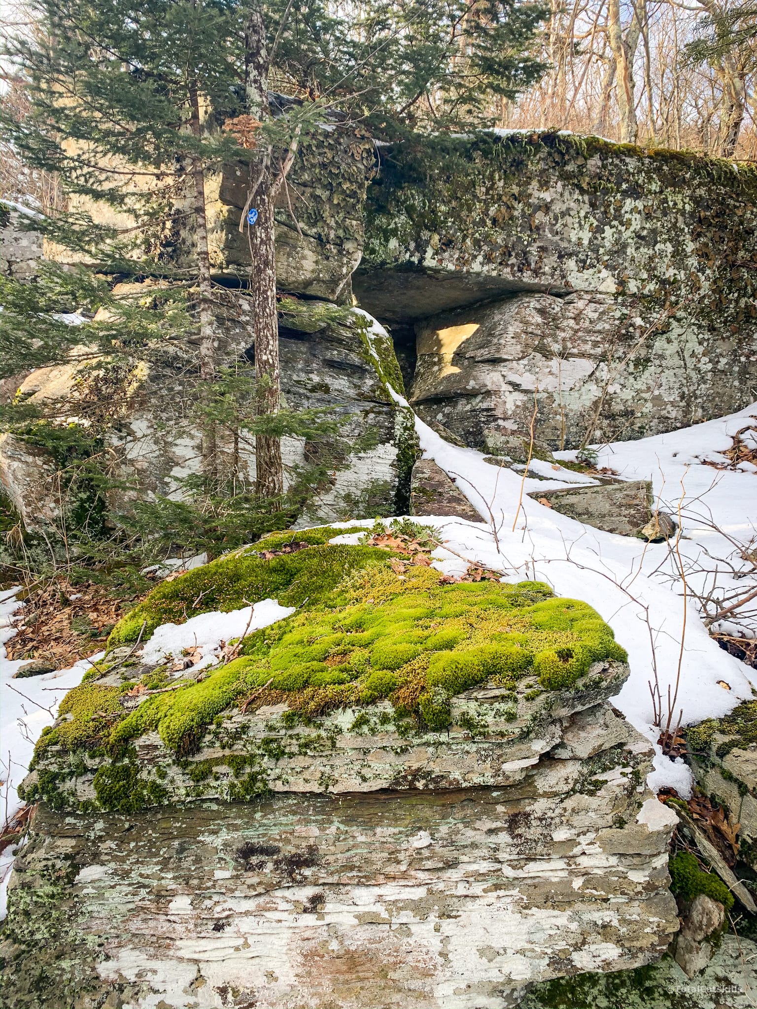 boulders, snow, moss