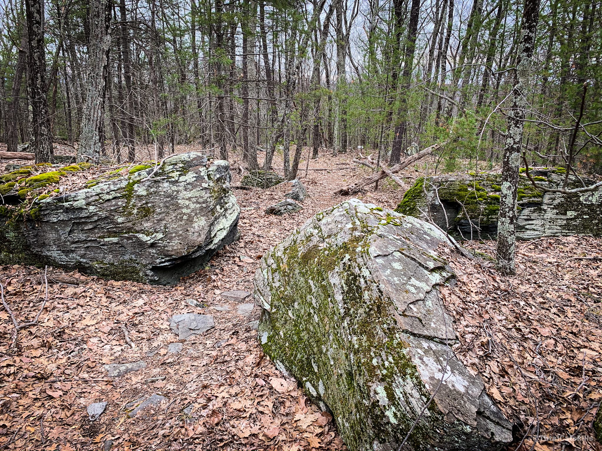 three boulders