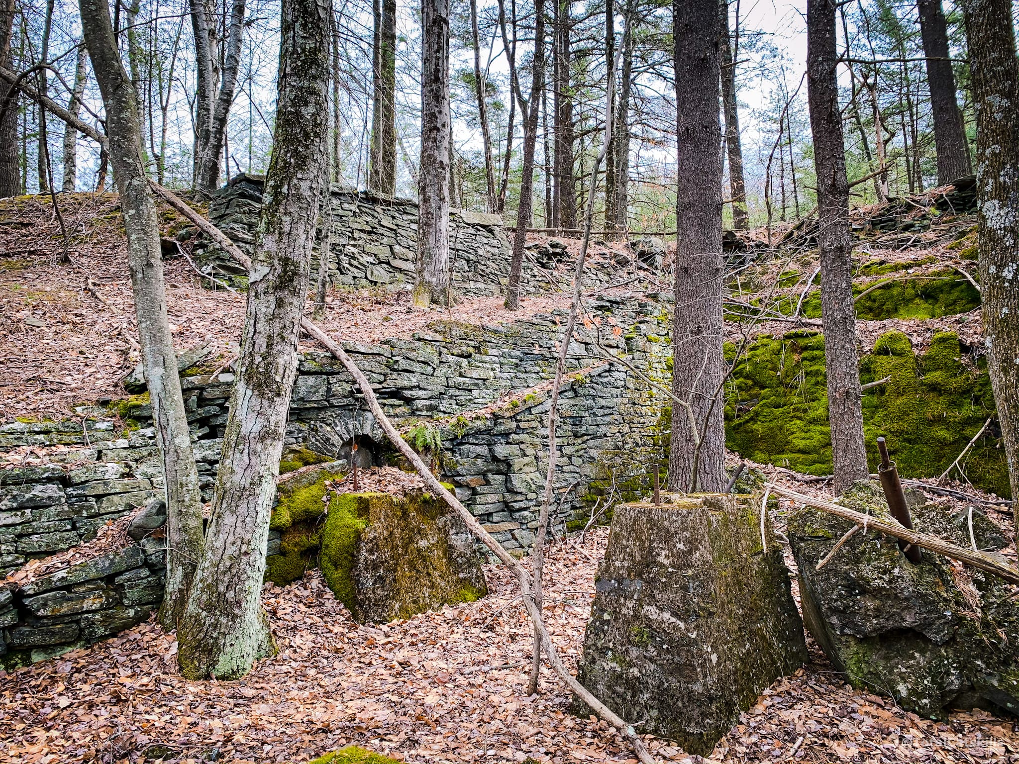 ruins in woods