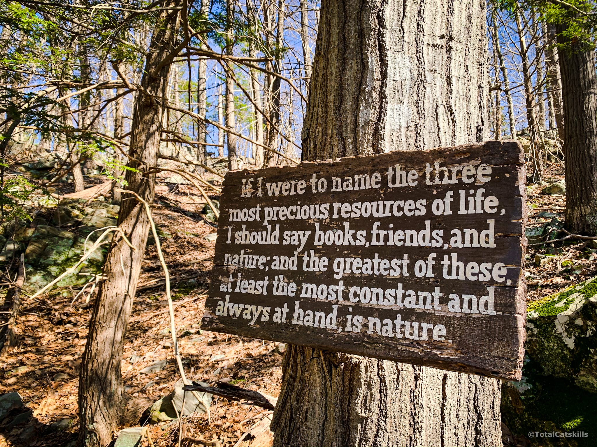 Burroughs quote on a wooden plaque