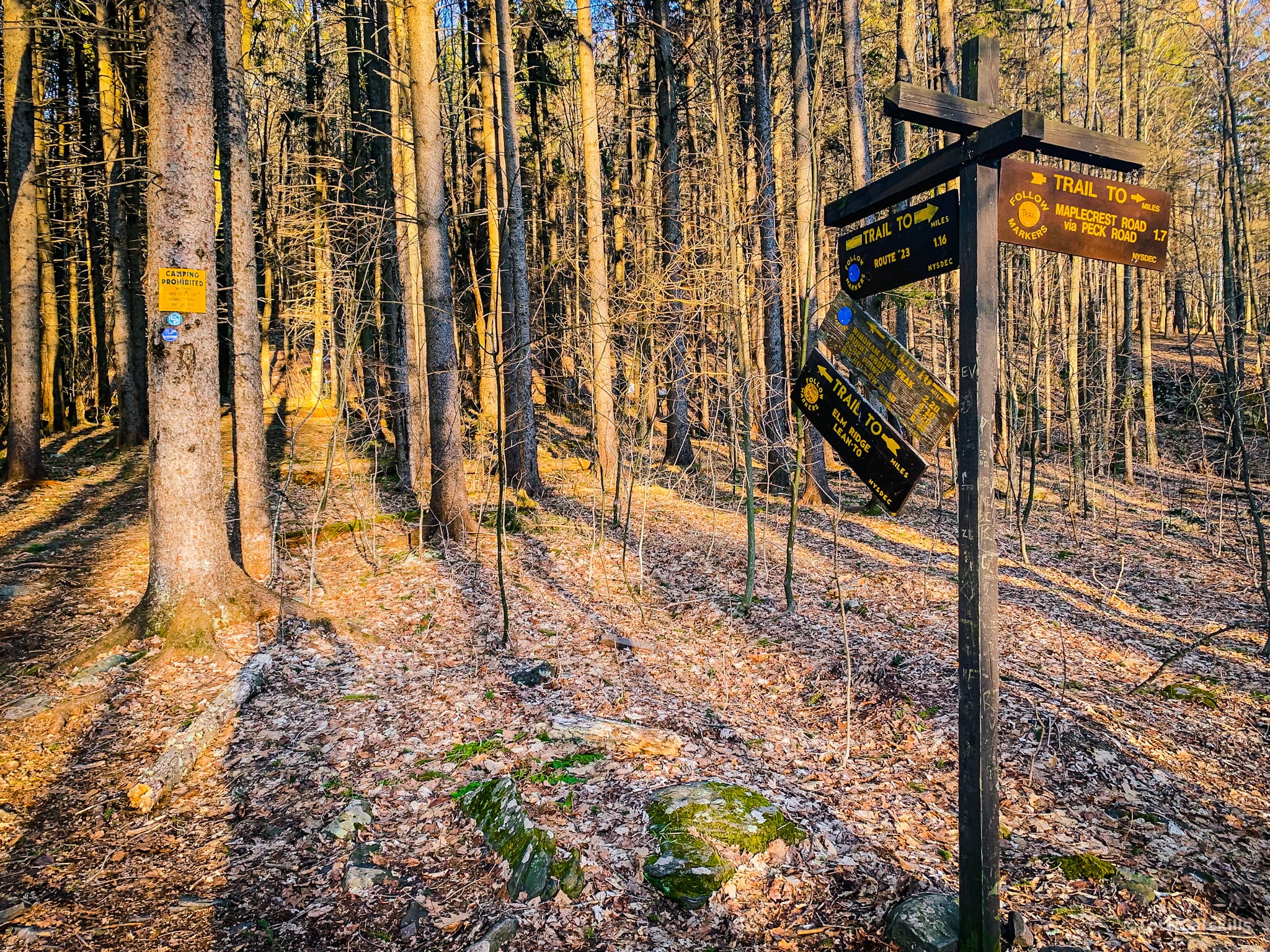trail signposts in woods