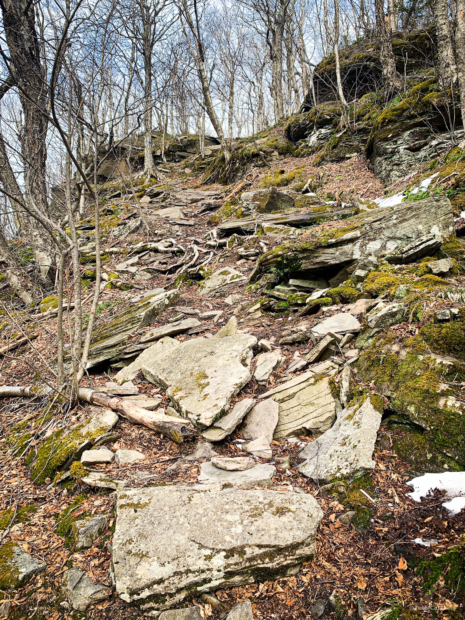 rocky trail, ascending