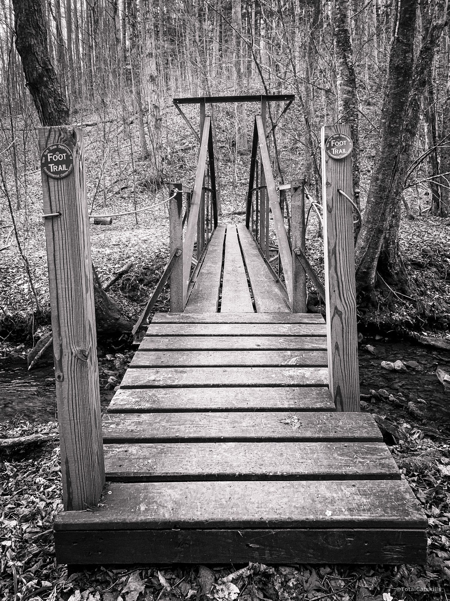 iron and wood footbridge