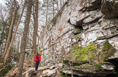 forest cliff face