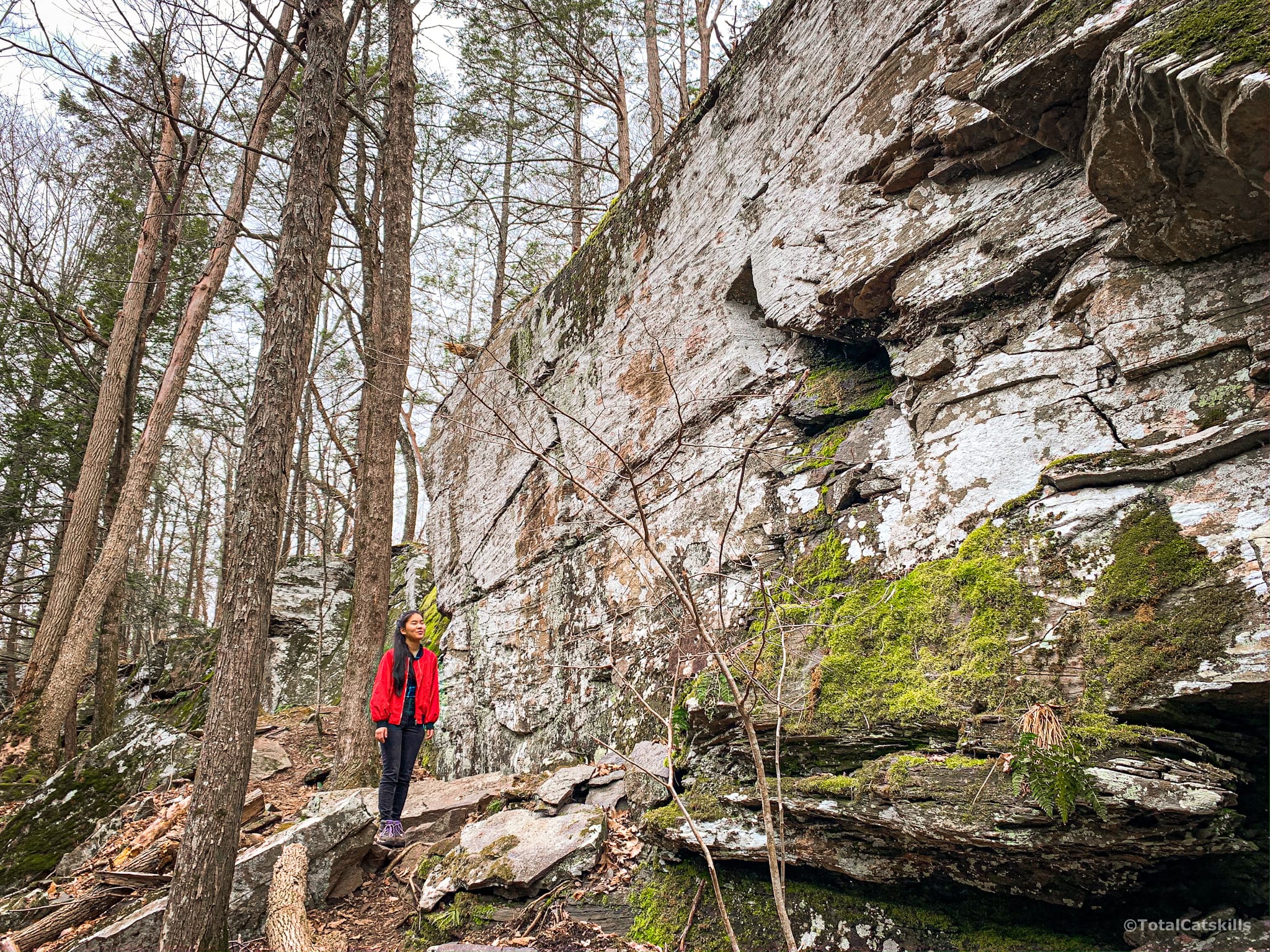 best hikes near woodstock ny: forest cliff face