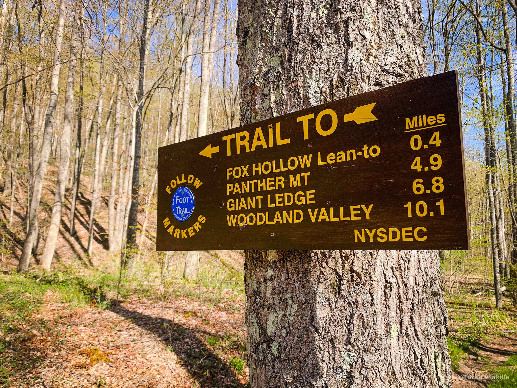 trail sign to panther mountain