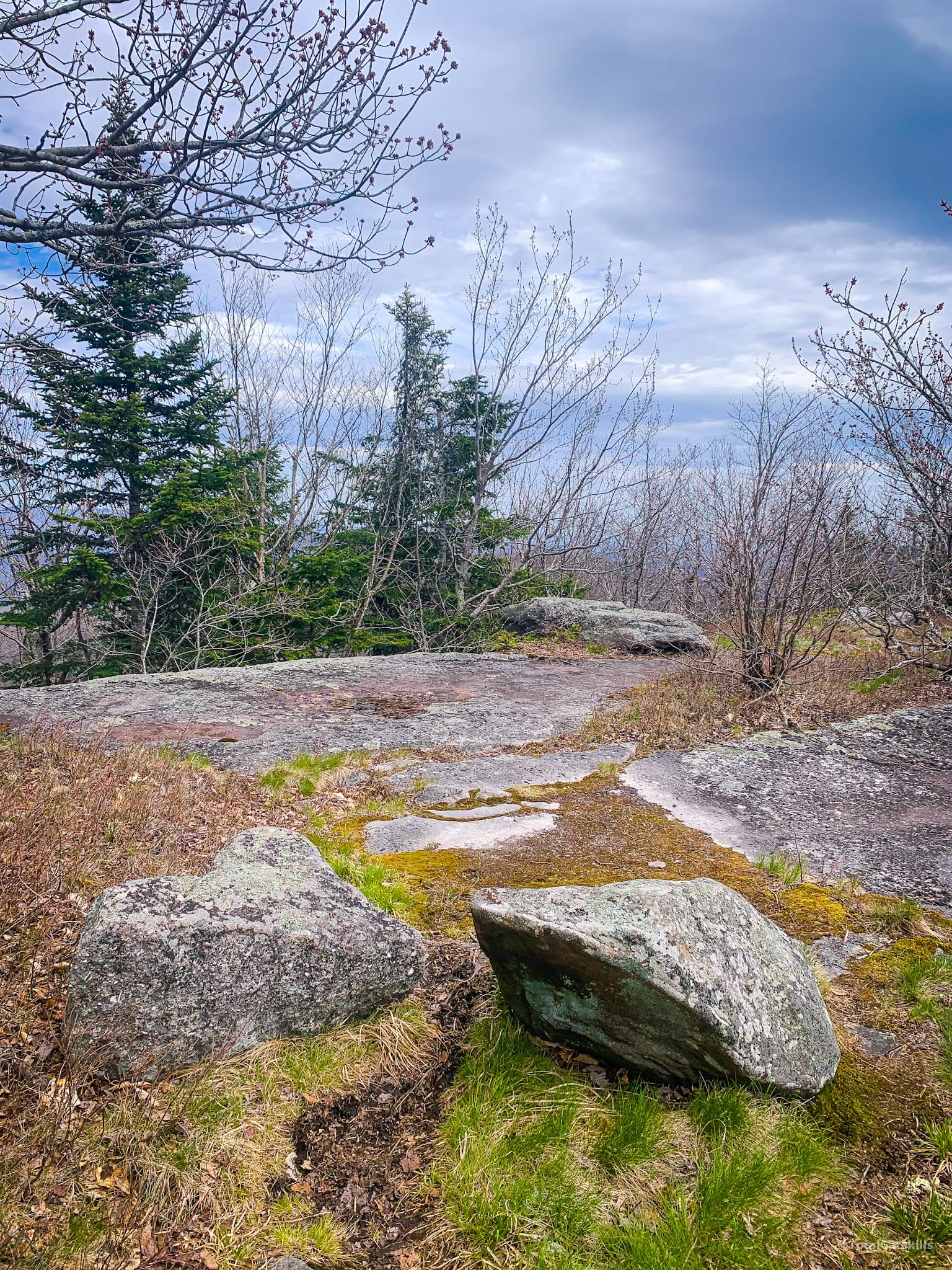 flat area, two boulders, Panther Mountain from fox hollow