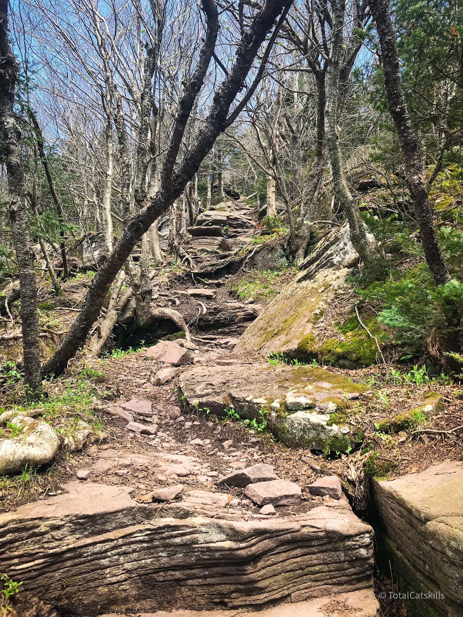 rugged mountain trail
