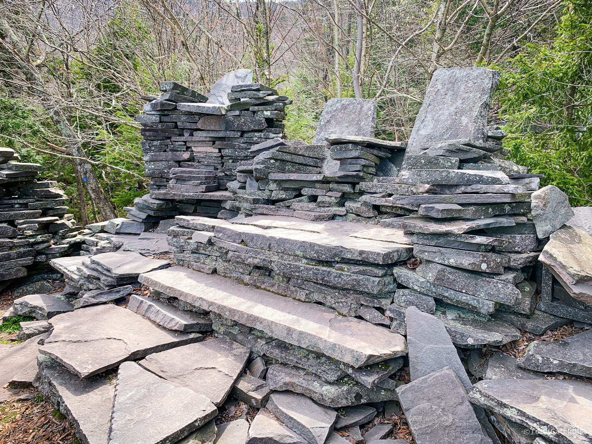 stone chairs in woods