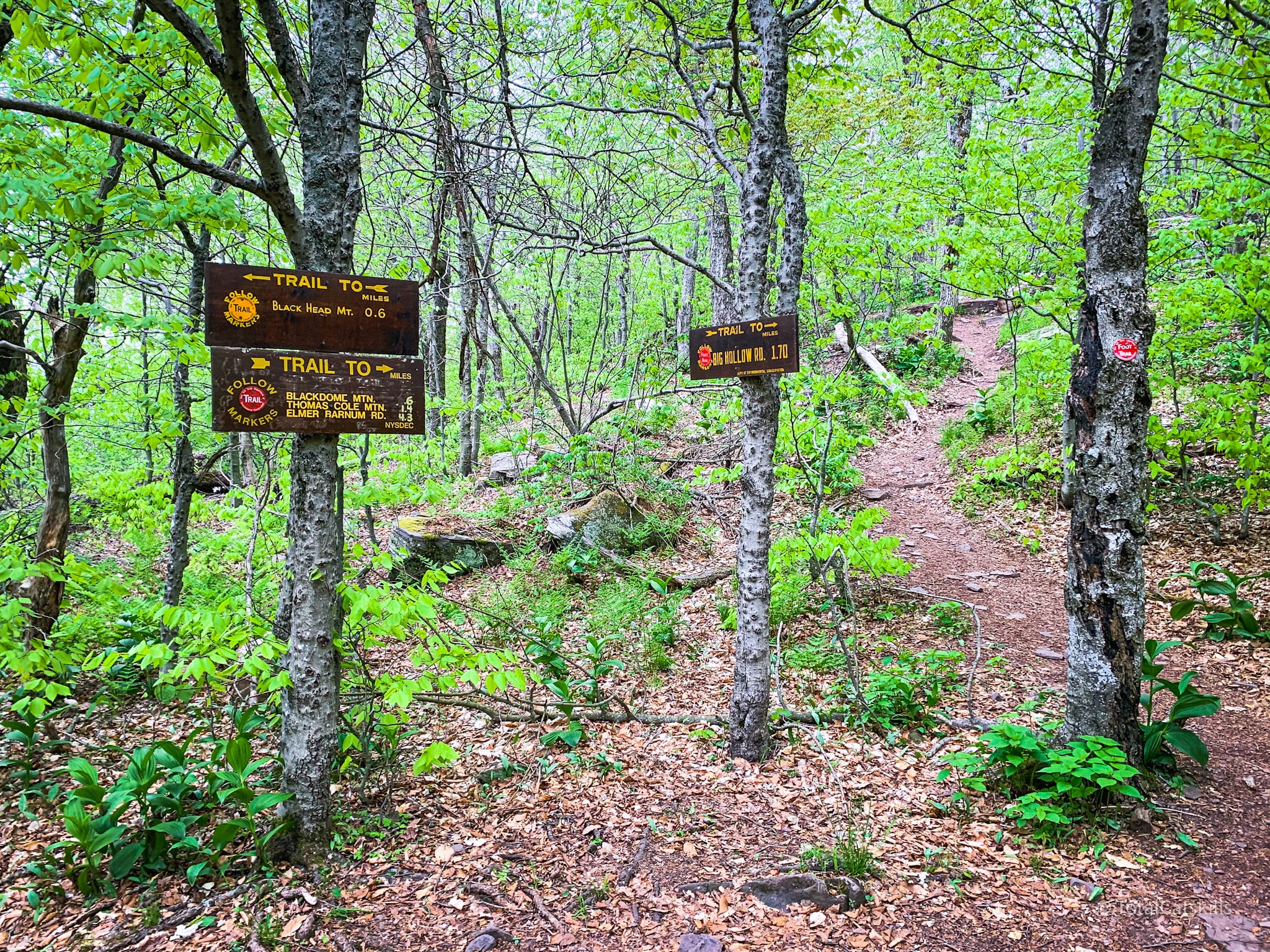 trail signs at junction