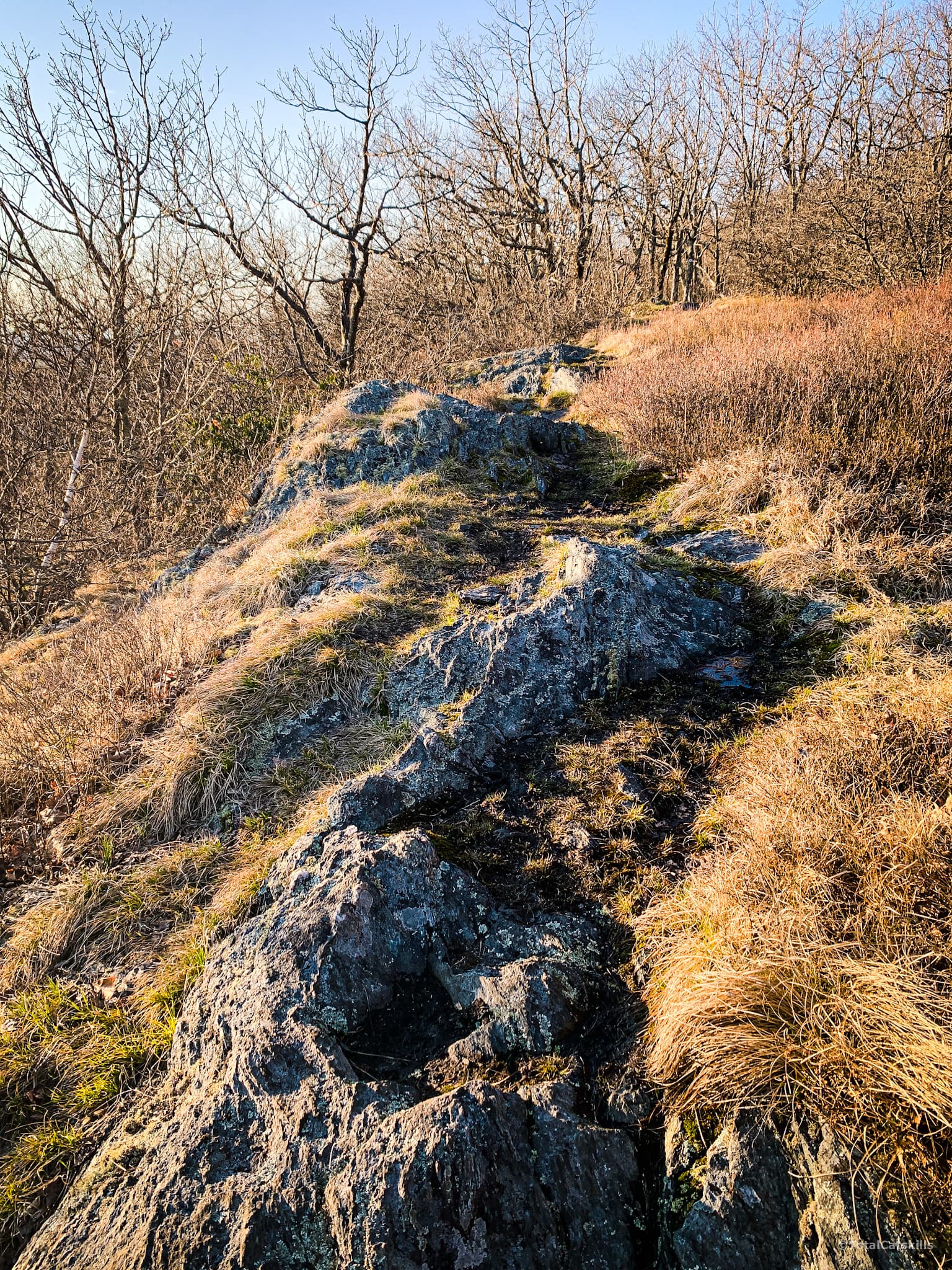 rock trail