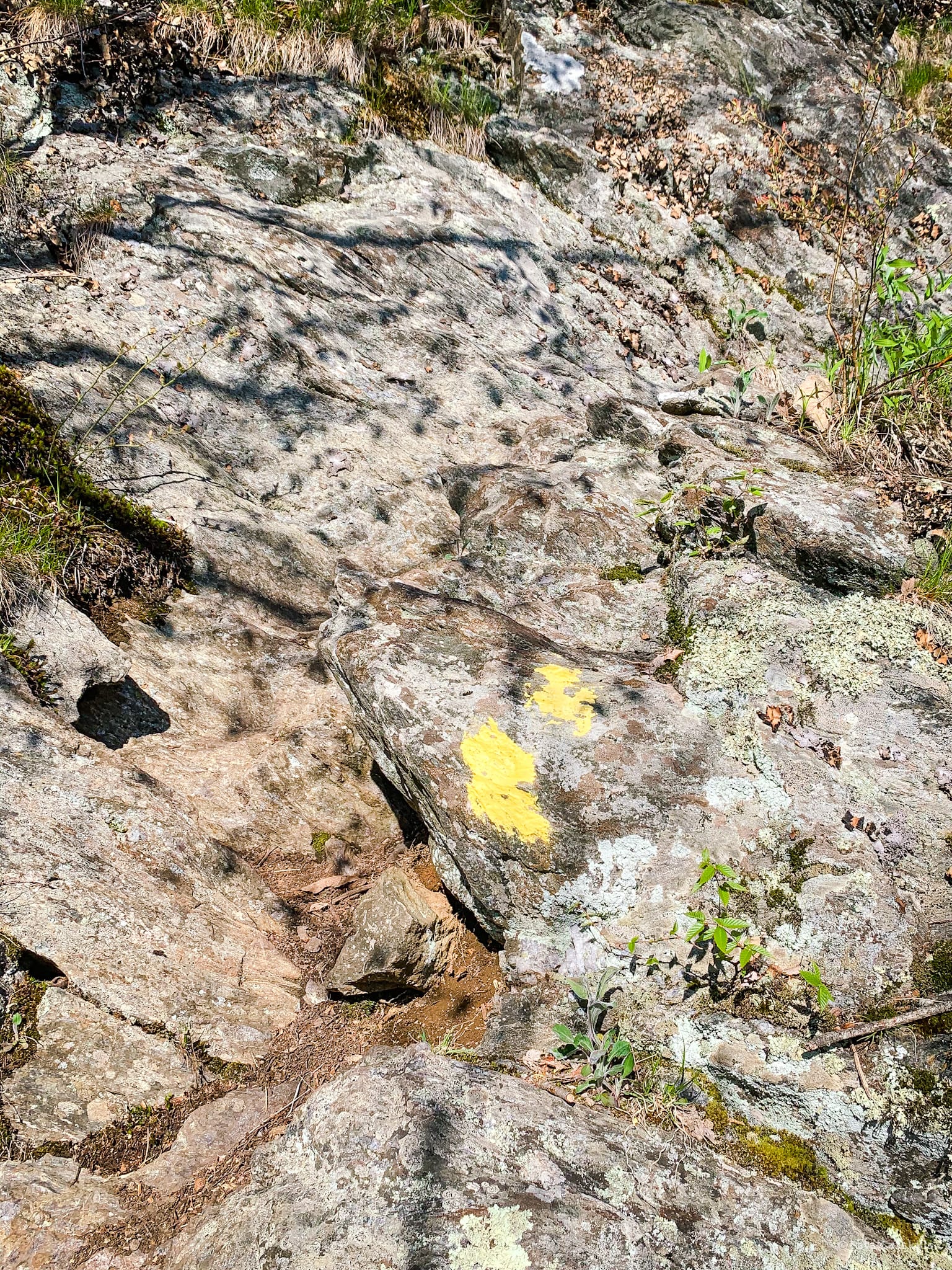 Yellow trail paint on rocks