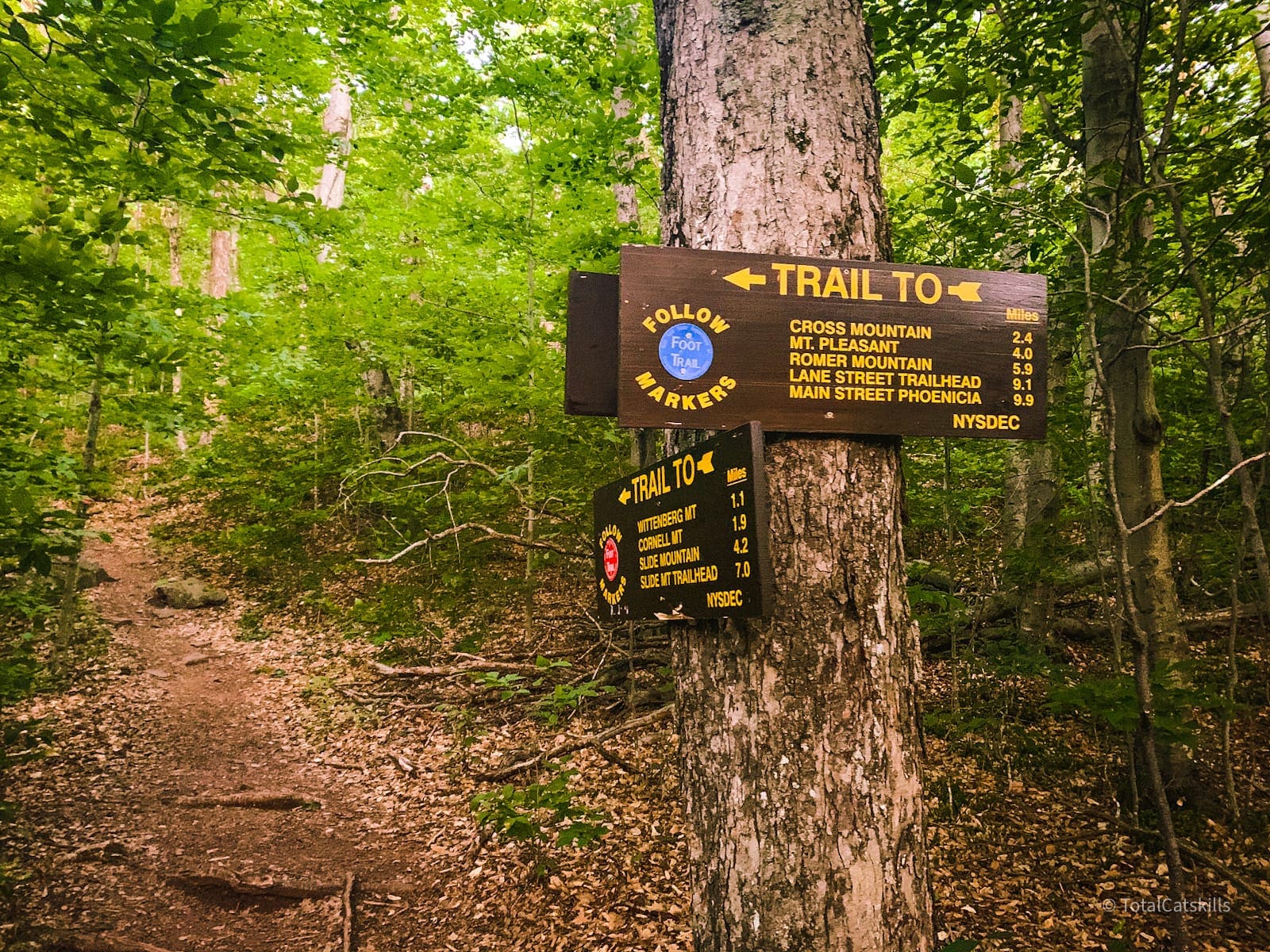 forest trail signs