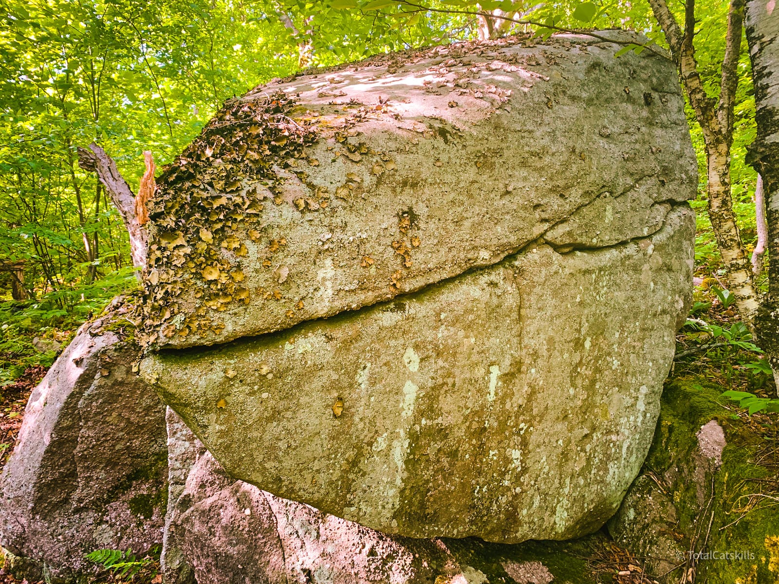a very anthropomorphic boulder