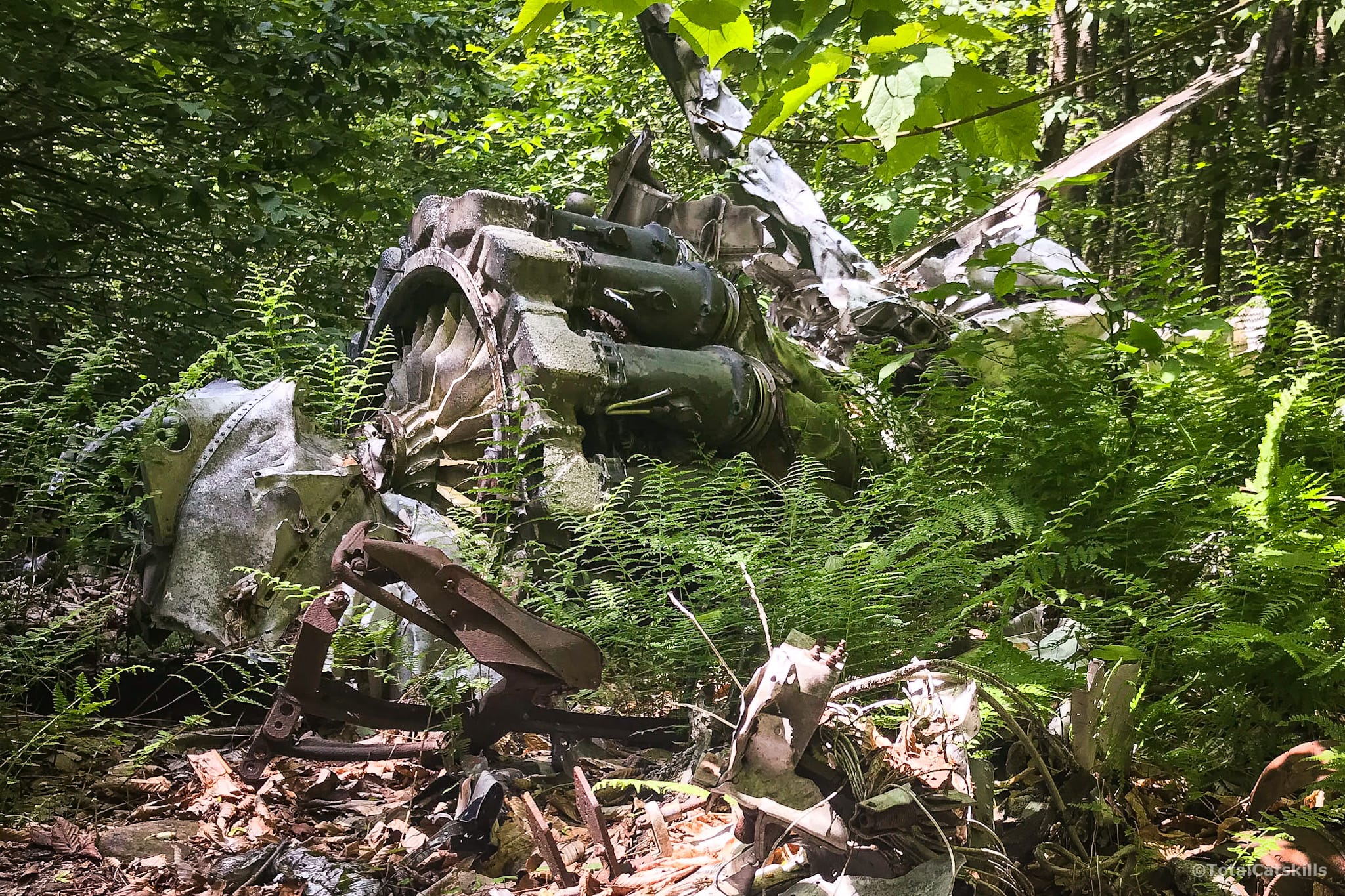 jet engine wrecked in forest