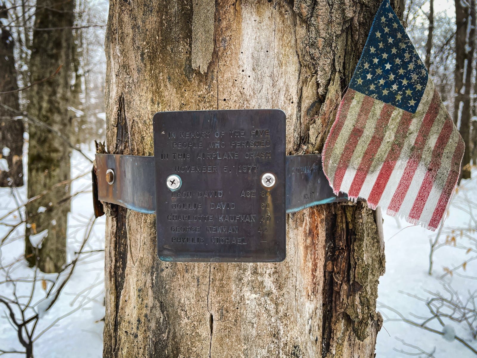 memorial plaque at site of plane wreck