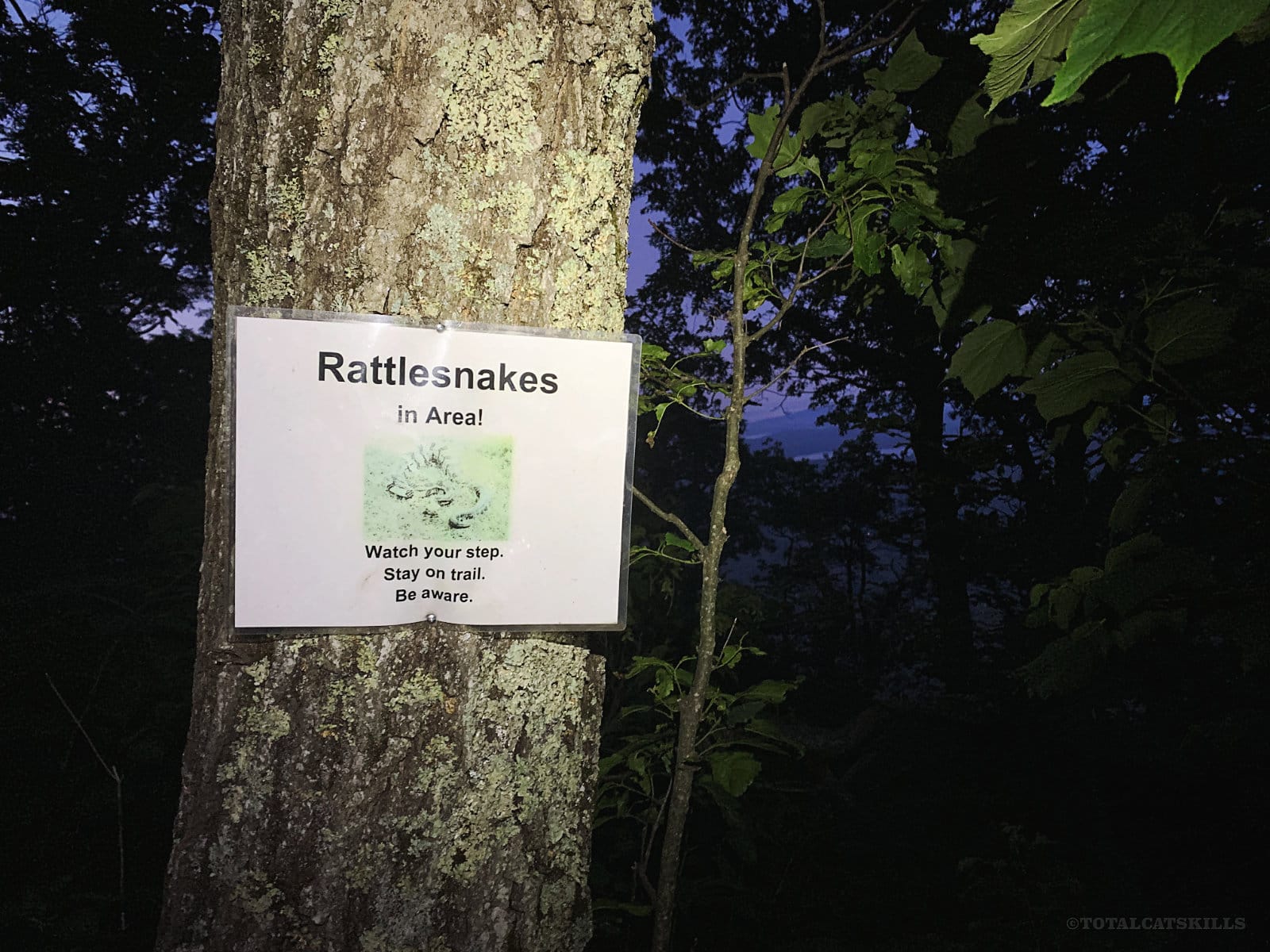 warning sign posted on tree overlook mountain trail