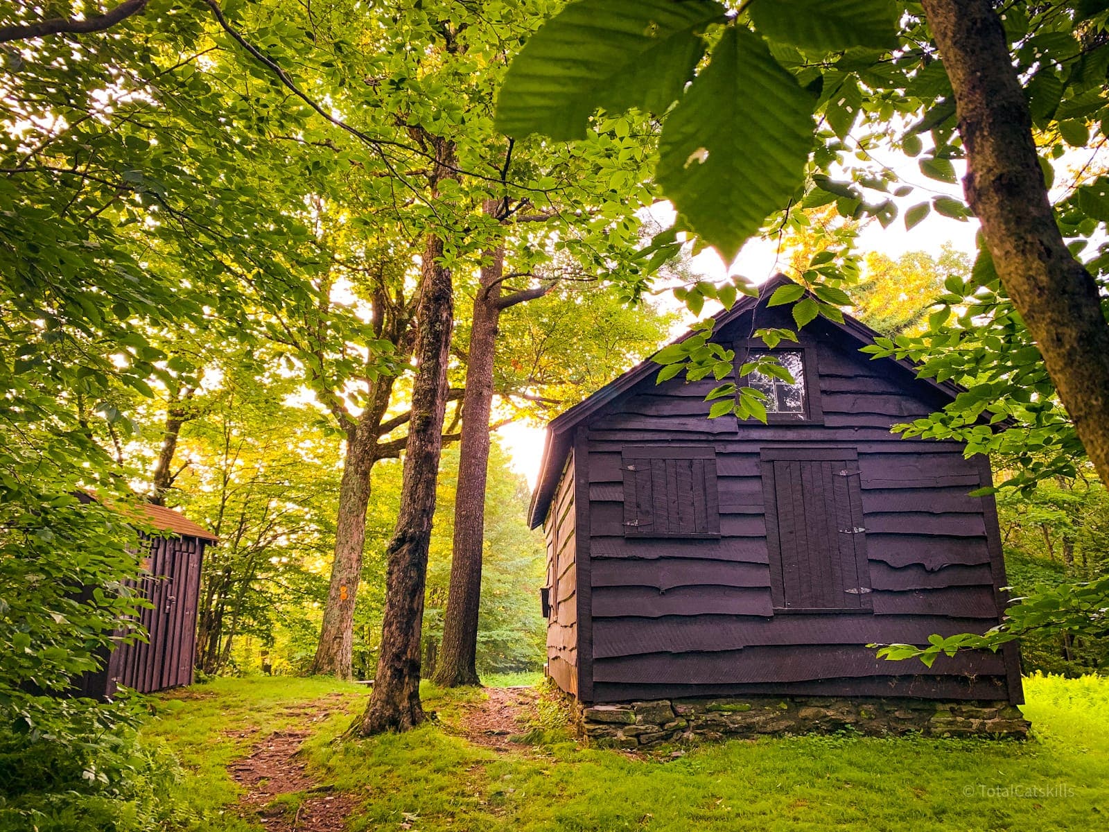 cabin in woods and small wooden outhouse