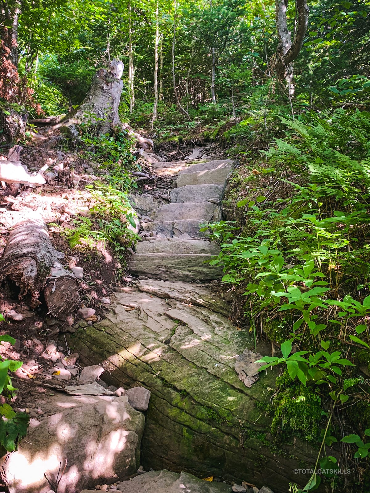 stone steps on trail