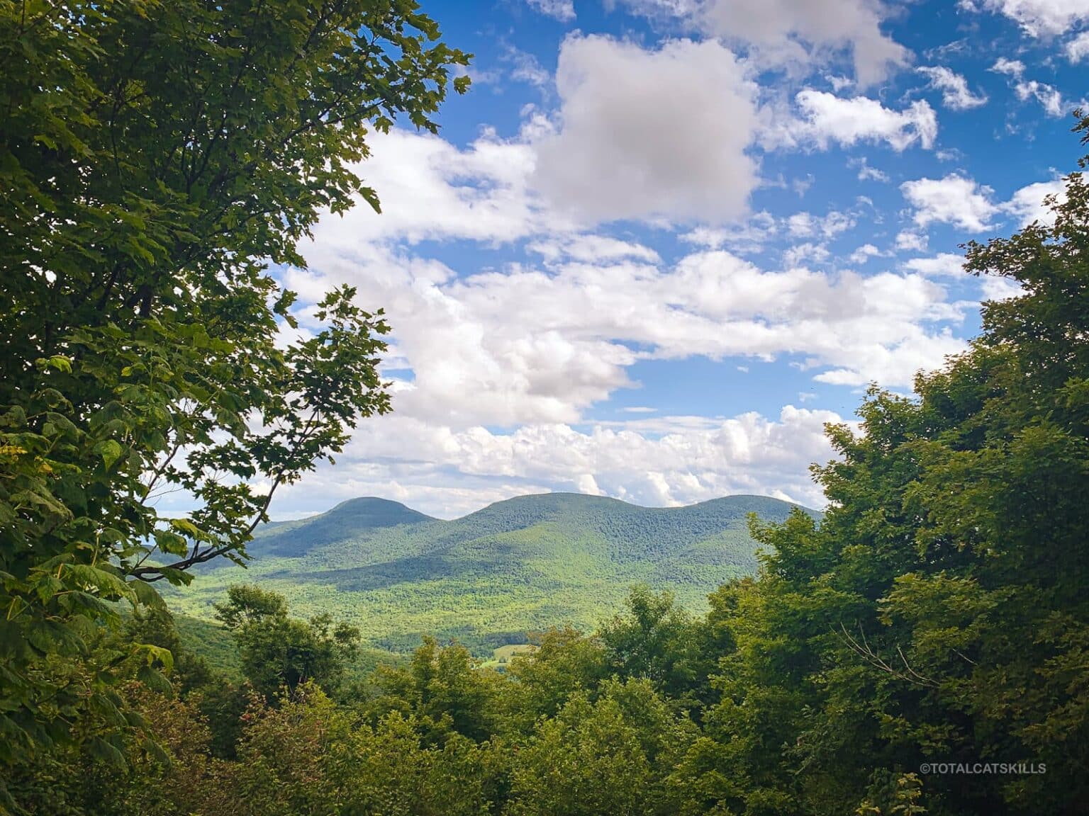 Where are the Catskill Mountains?