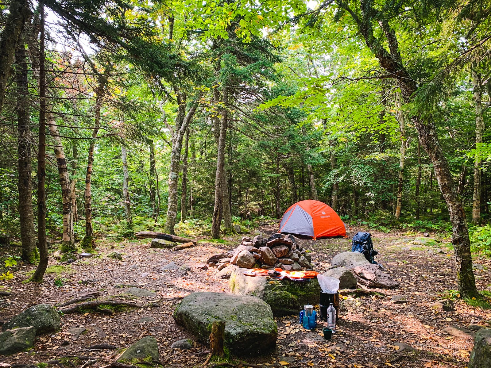 orange and gray tent in campsite in woods