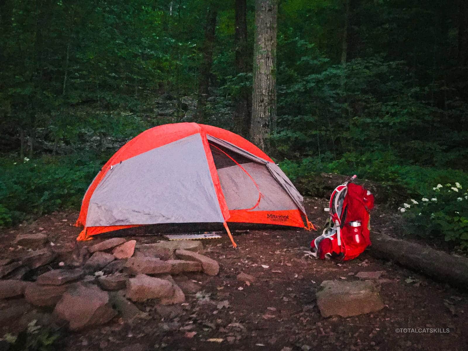 marmot brand tent in woods