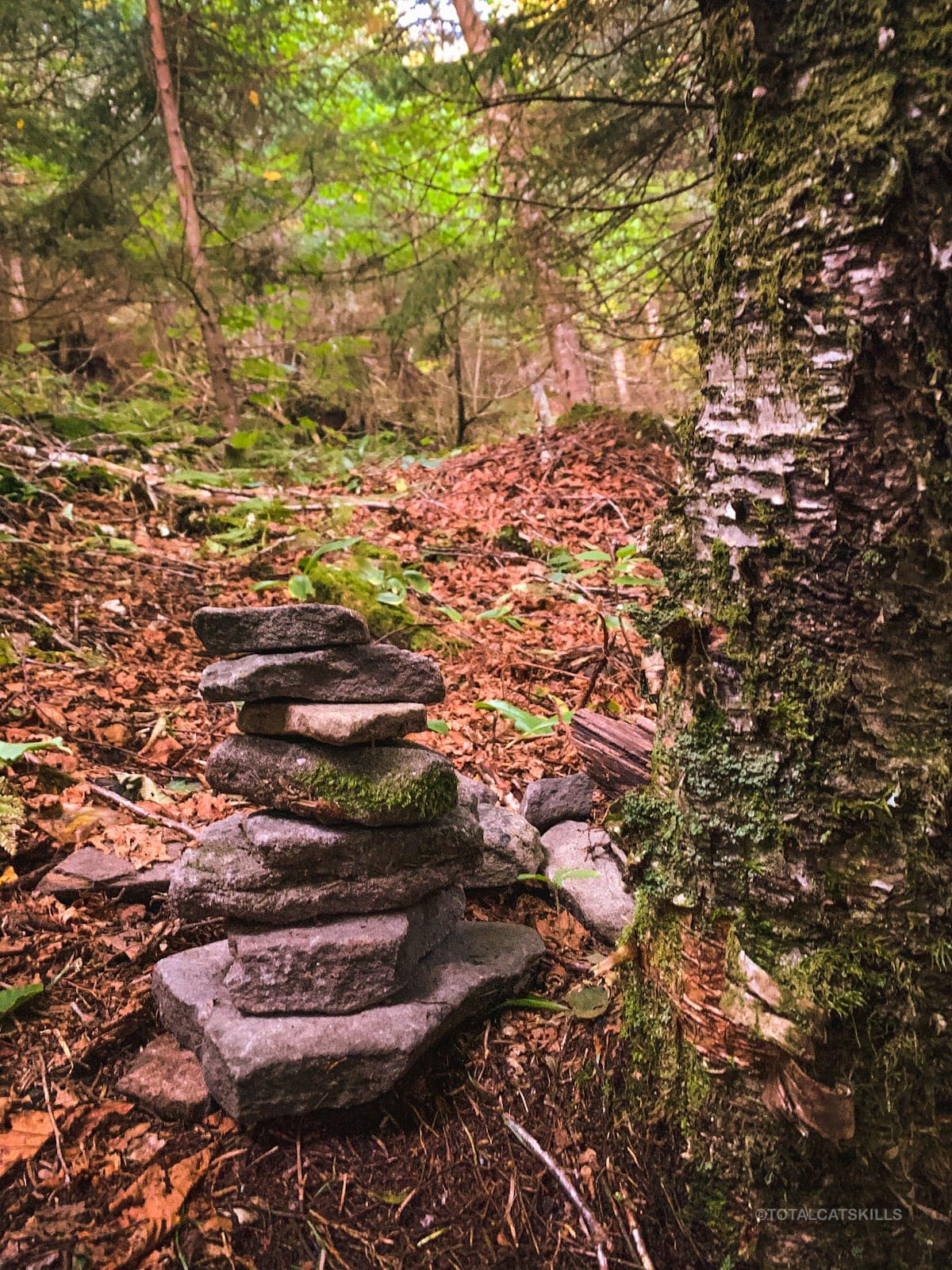 cairn in woods