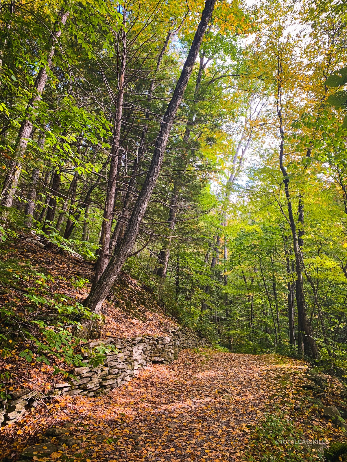 stone wall trailside