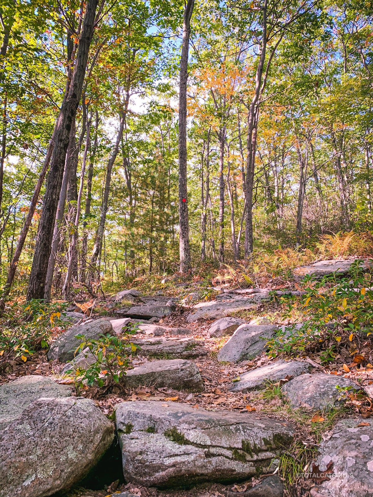 rocky trail