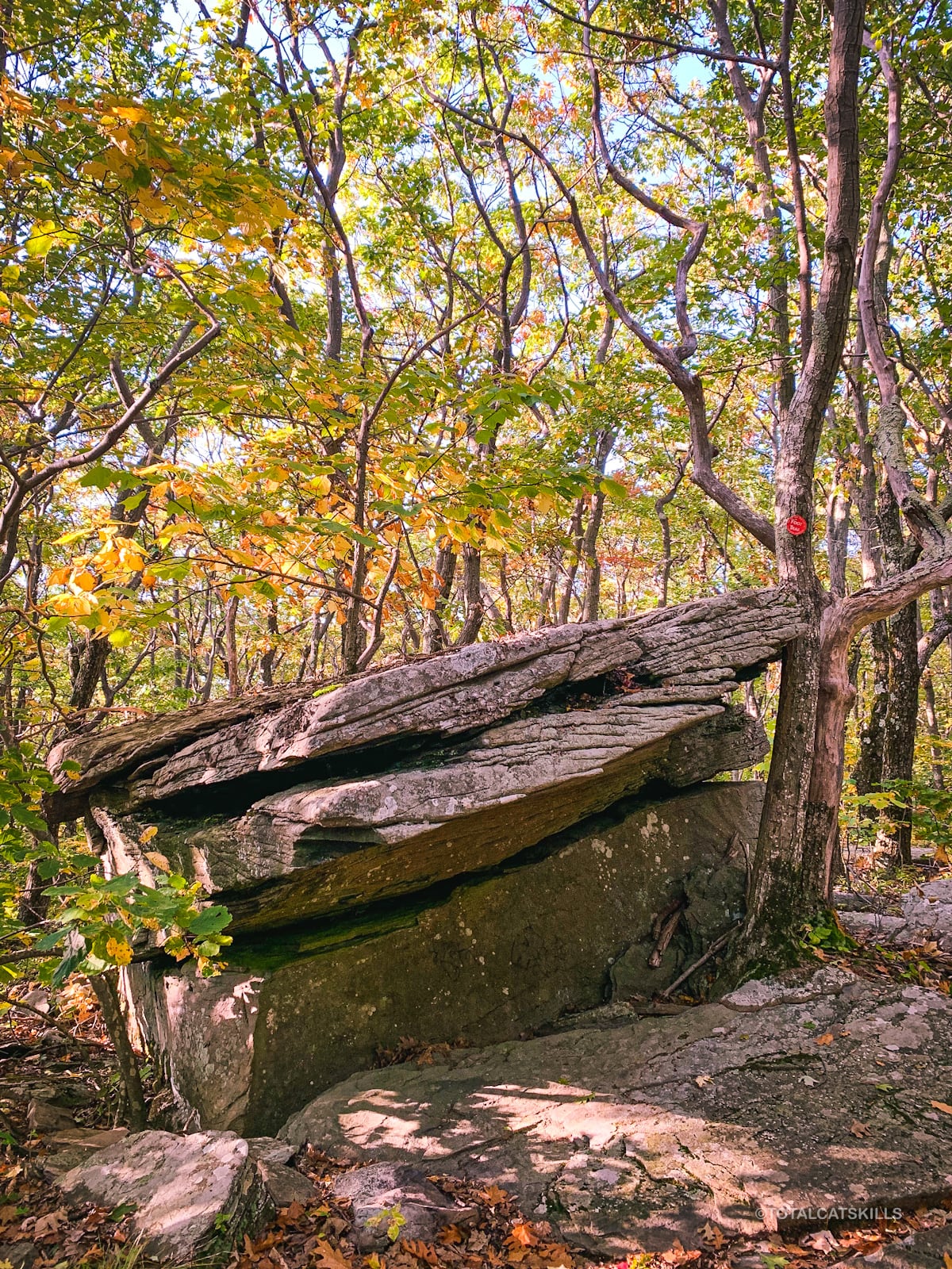 erratic boulder