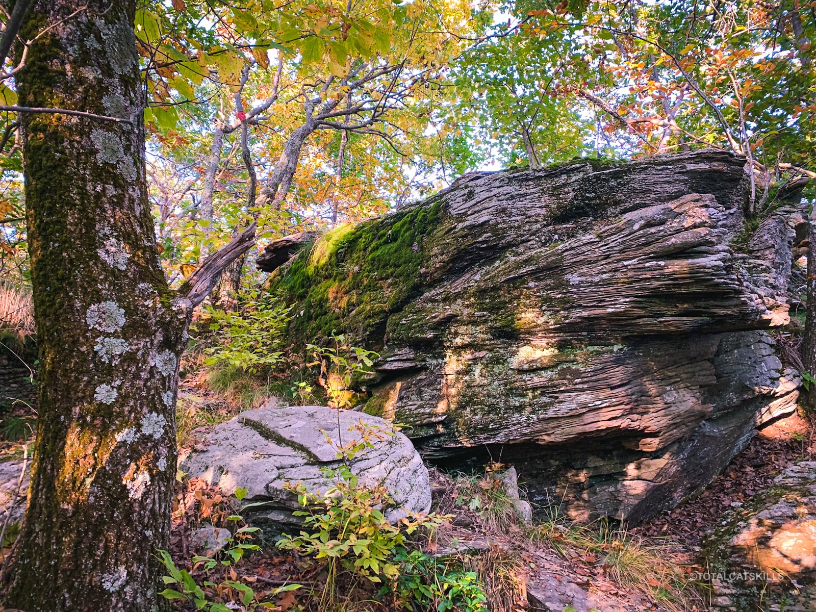 erratic rock