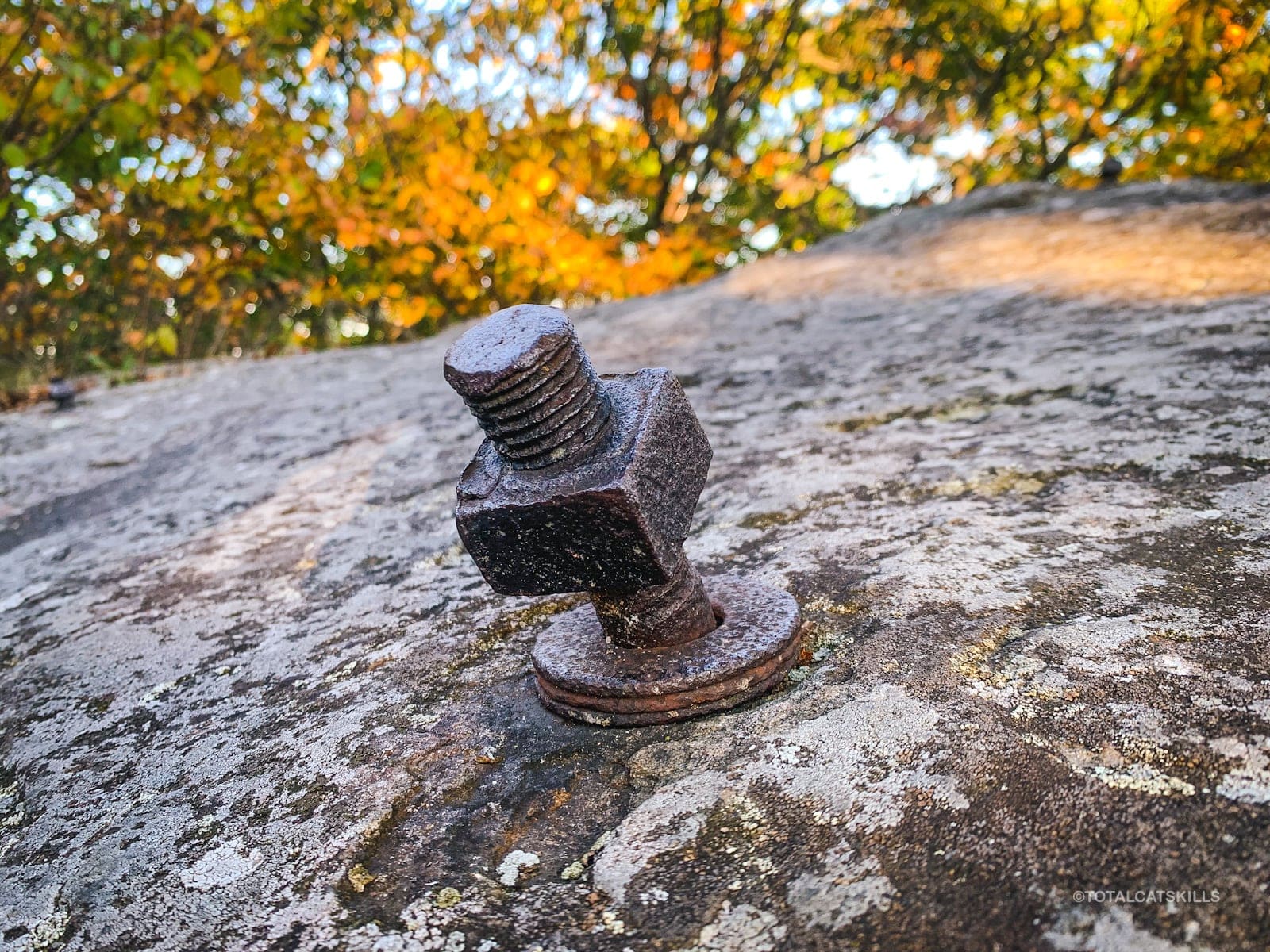 bolt in rock
