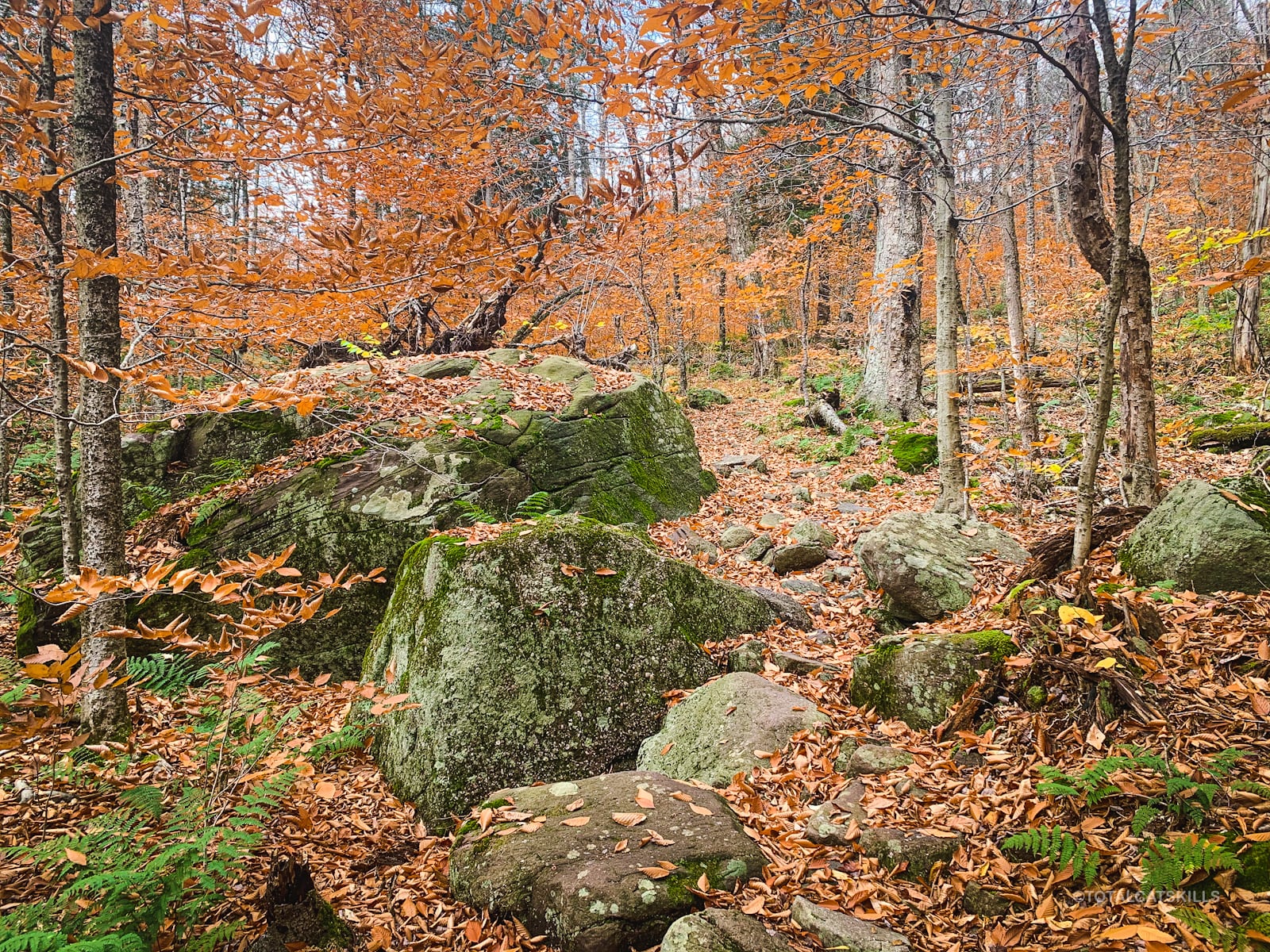 boulders on trail