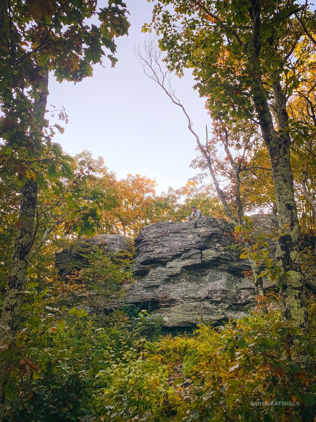 rocky cliff/ledge