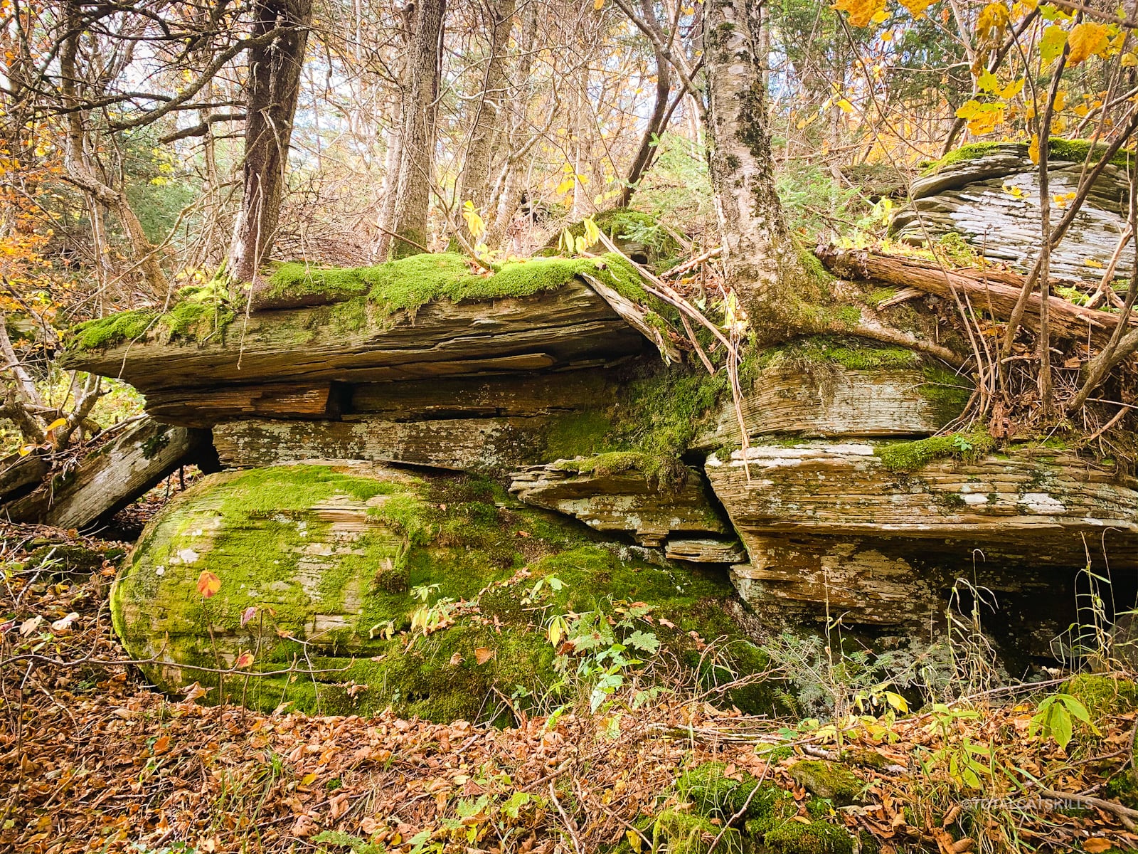 rock outcrop