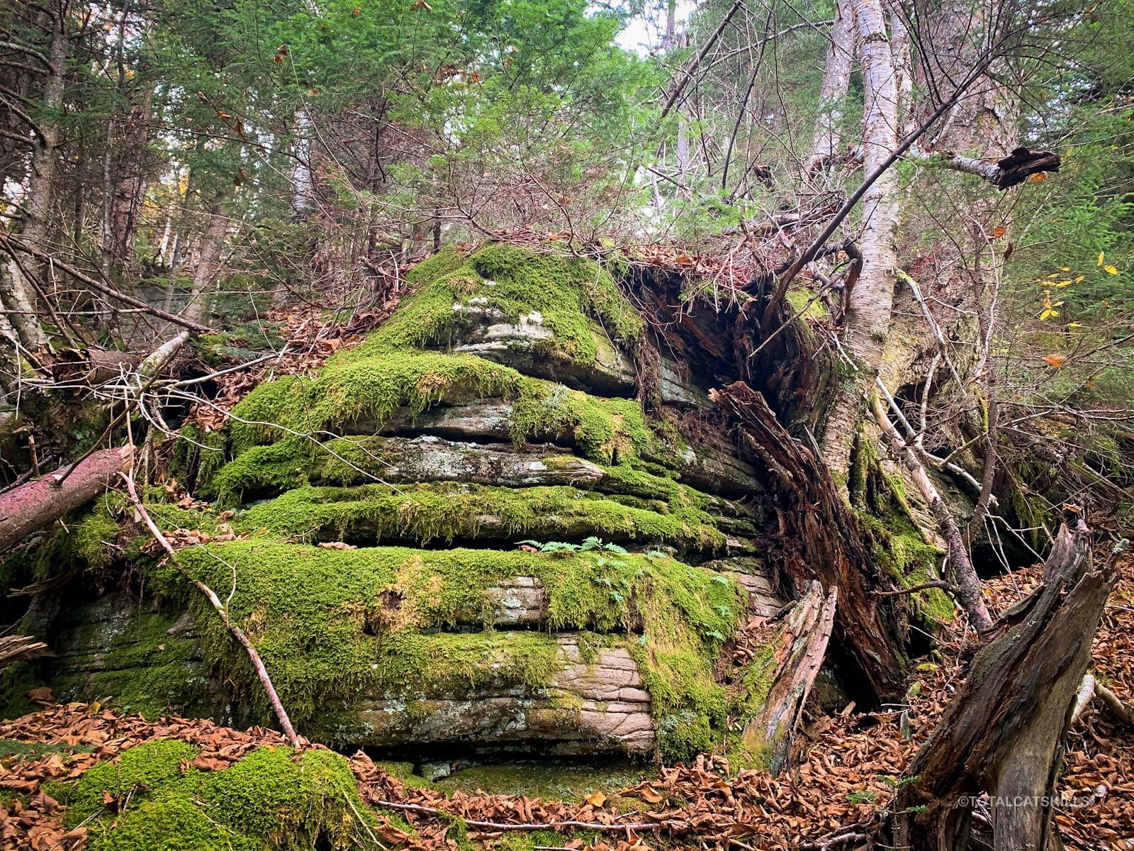 rocky outcropping